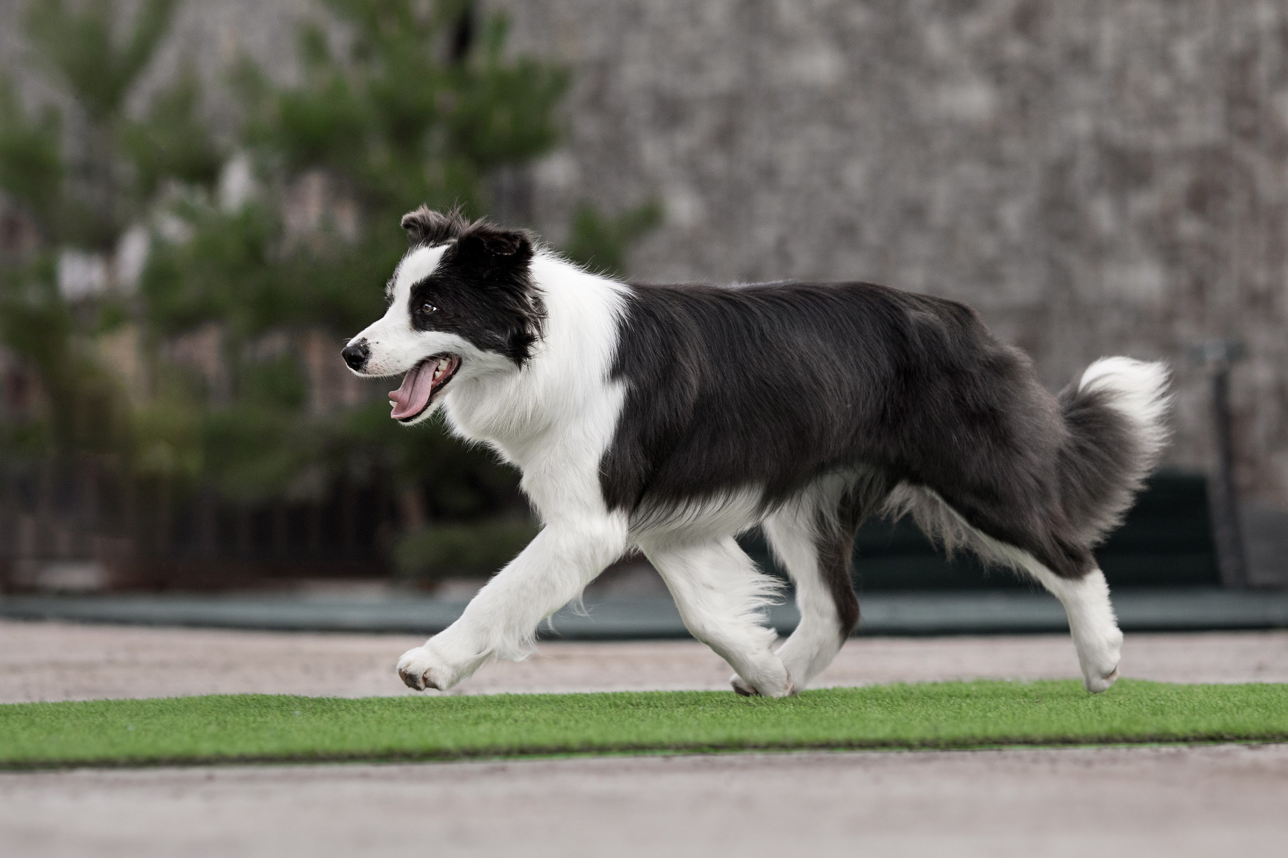 Роскошь в ростошах. О нас