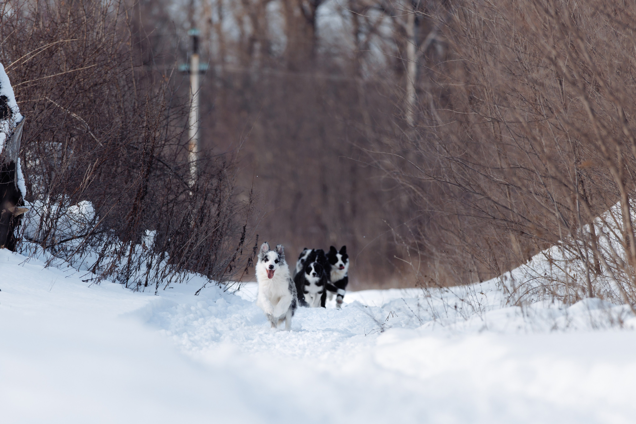 Яркий январь. О нас