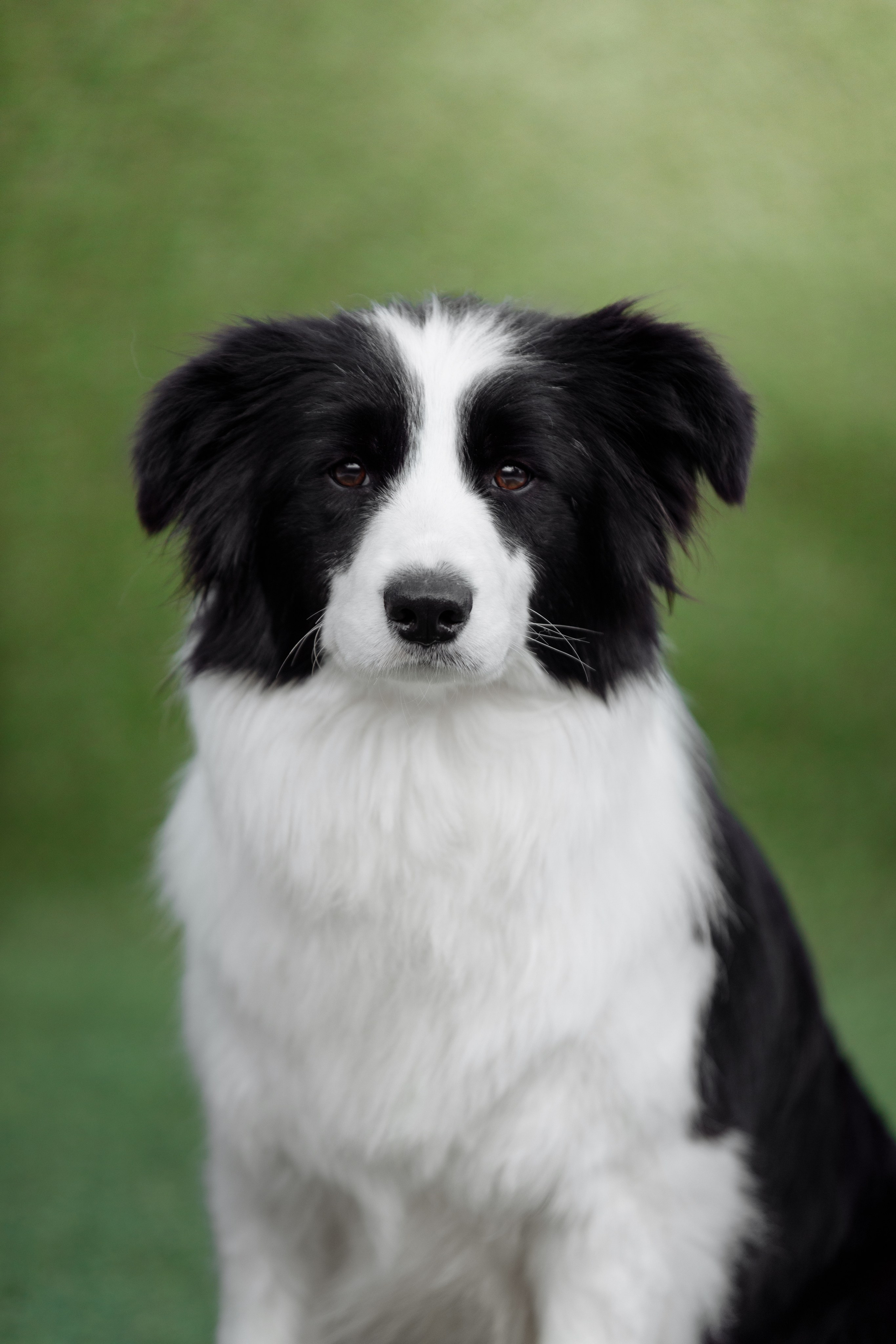 Hidden Charm Gravity Of Love — Грета. О нас