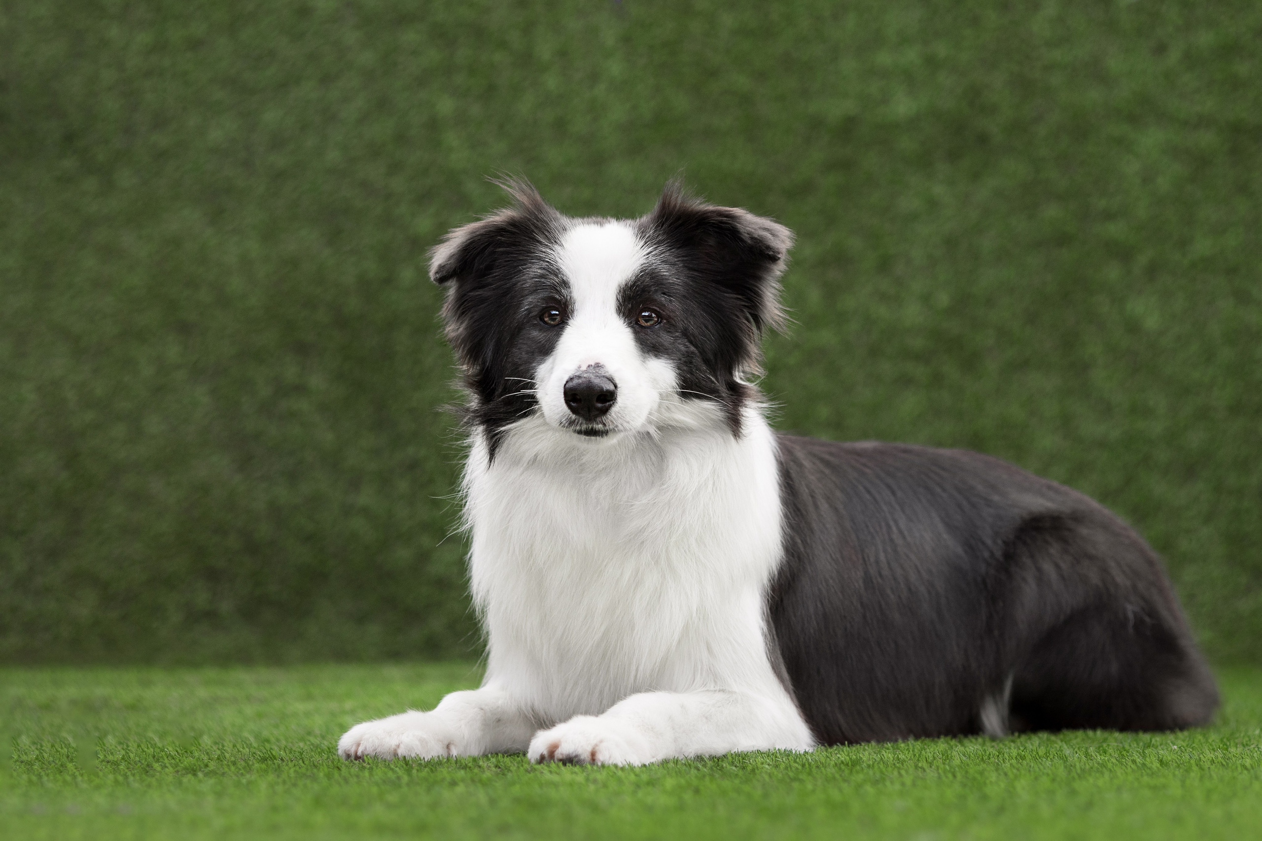 Роскошь в ростошах. О нас