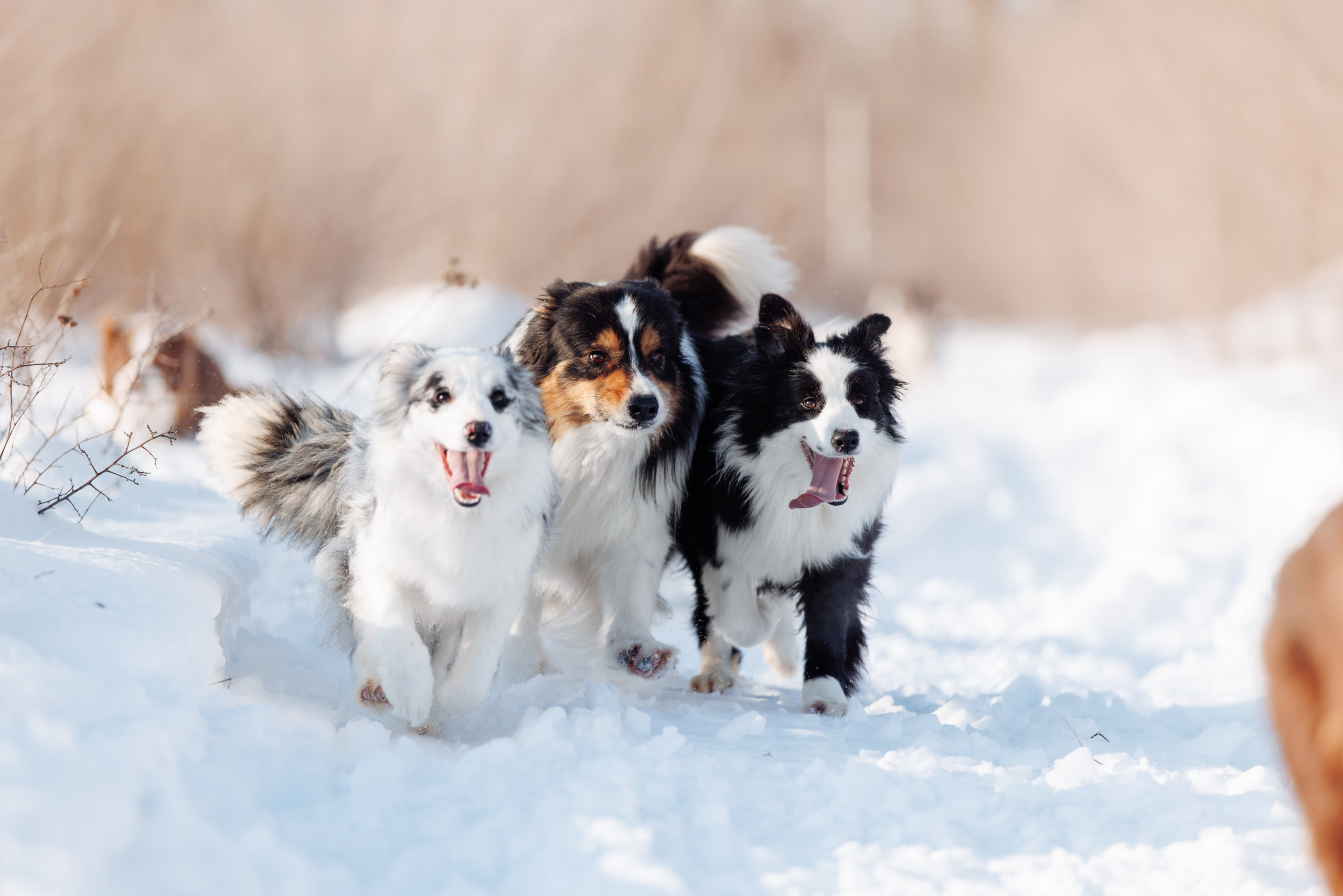 Яркий январь. О нас