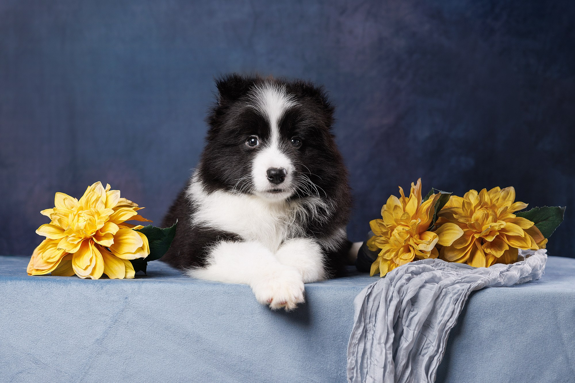 На водной основе. О нас