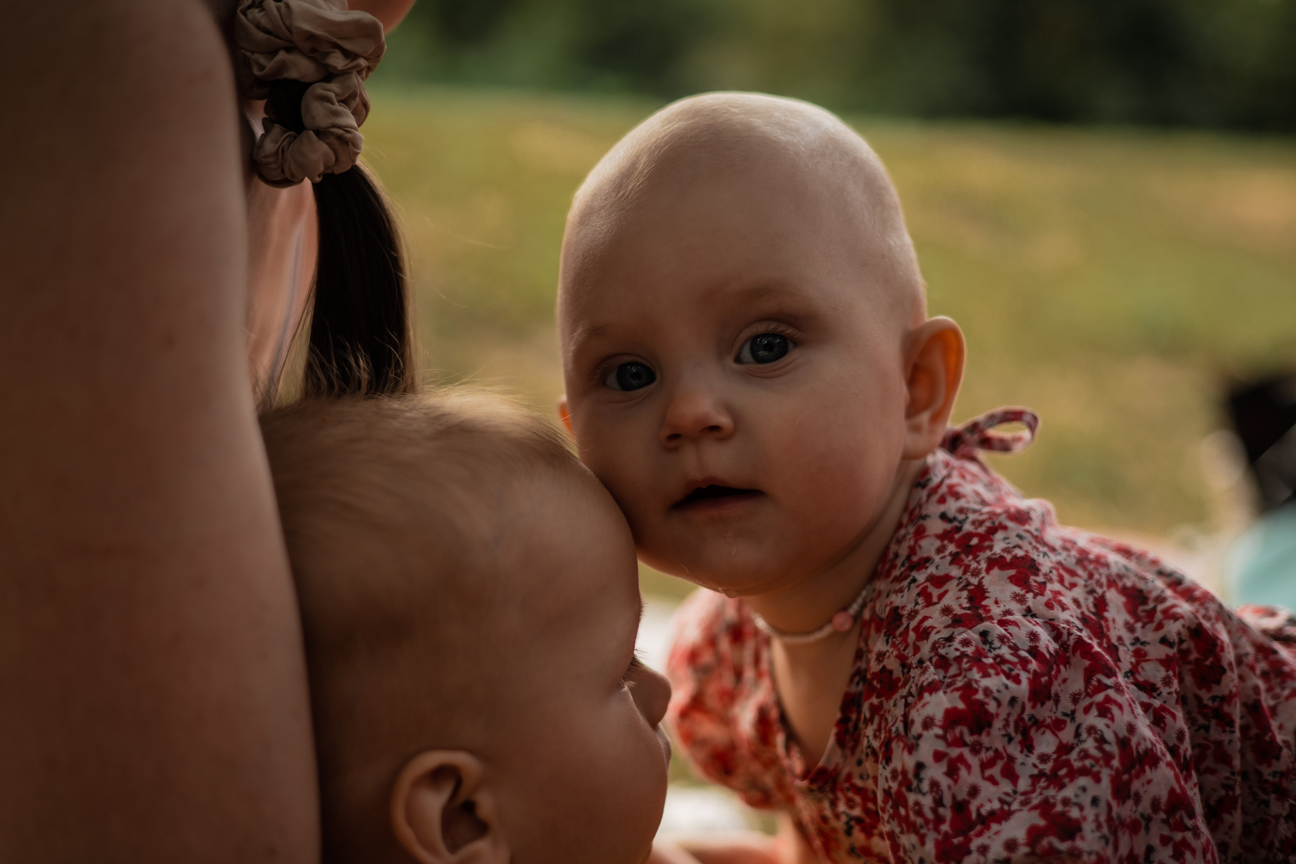 Красный шатёр