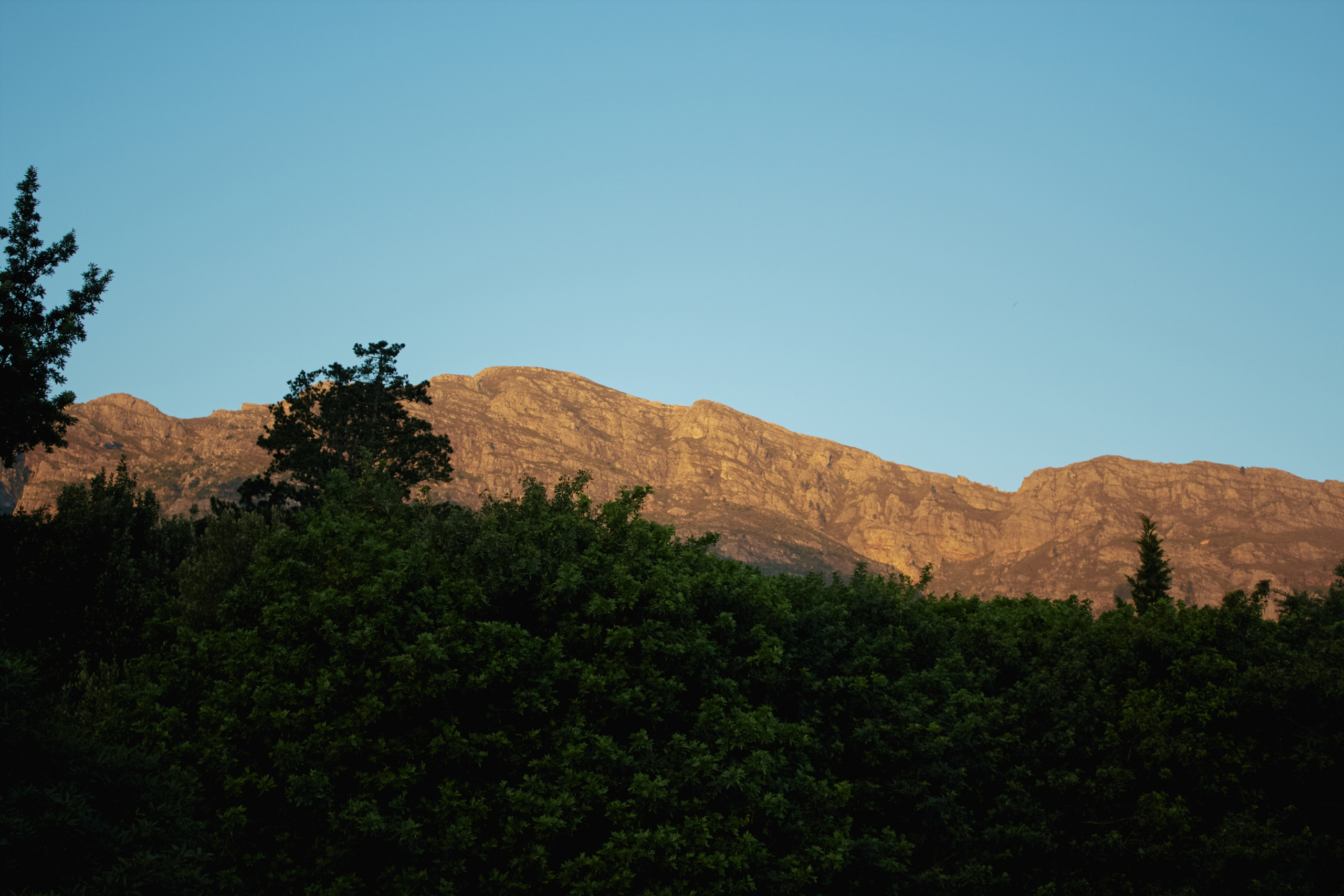 ЮАР. Профессиональный Фотограф во Владимире, в Москве и в Суздале — Полина Романычева