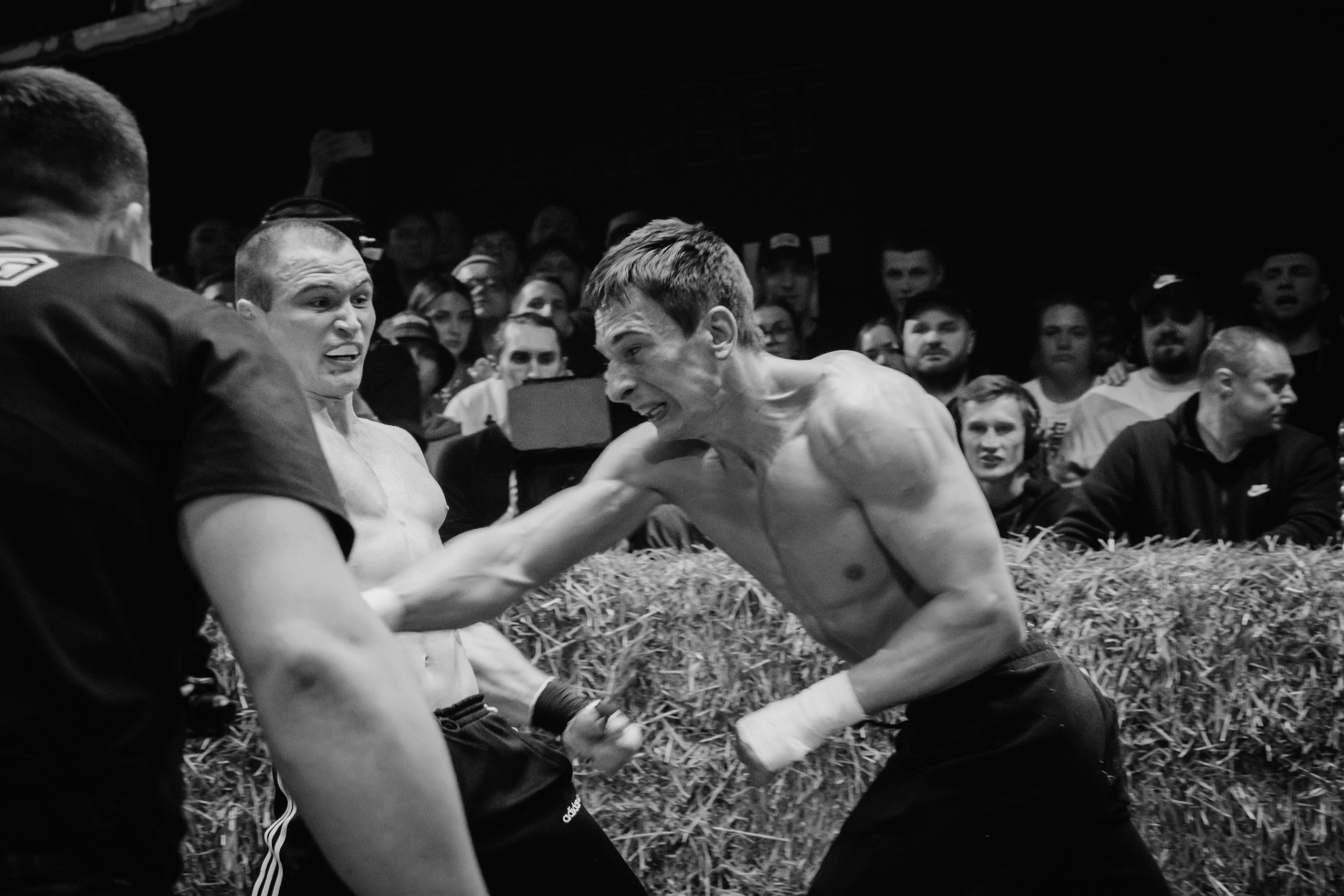 Кулачные бои TopDog. Анастасия Тен