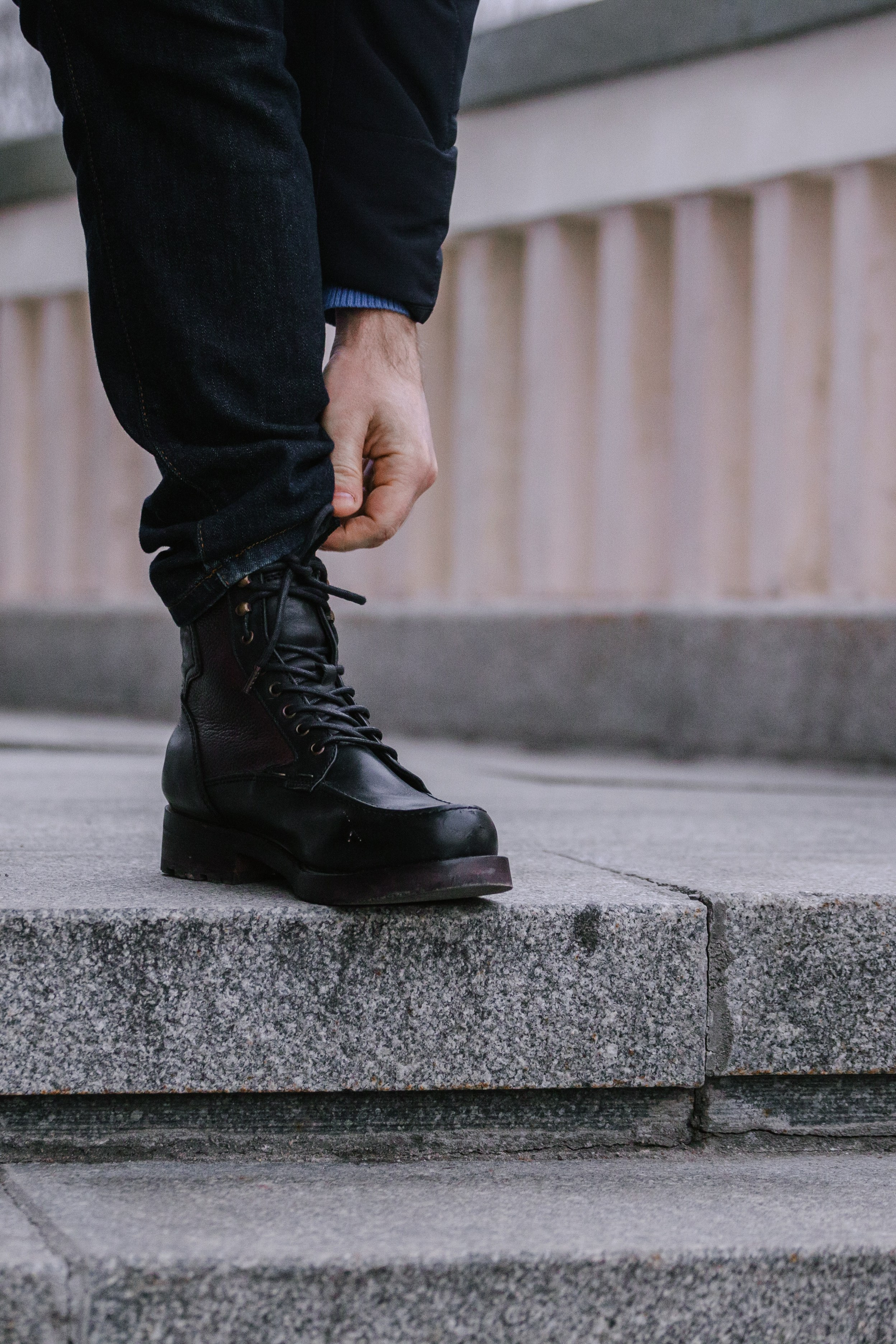 Яков. Фотограф-анималист Татьяна Степанова