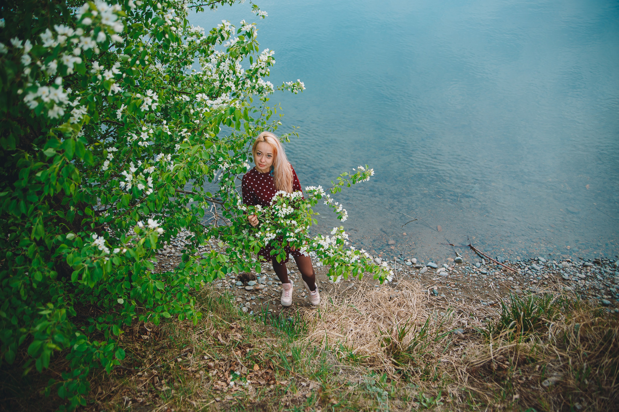 Яблони. Фотограф в Абакане Николай Окунев