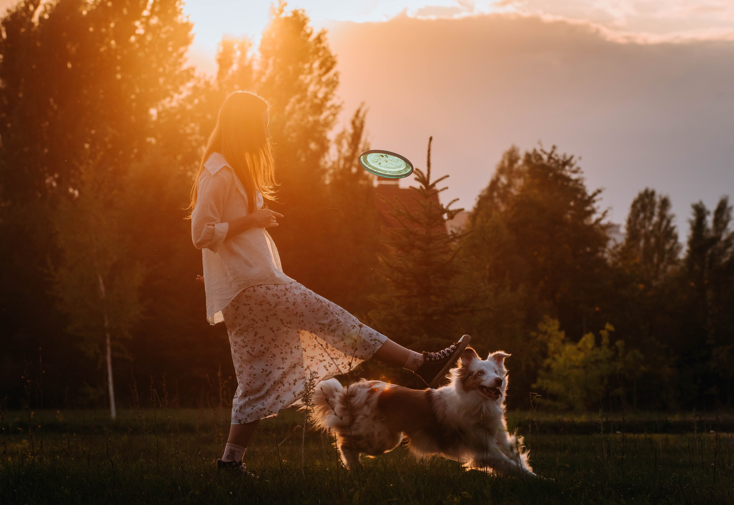 Лиза и Айви. Главная