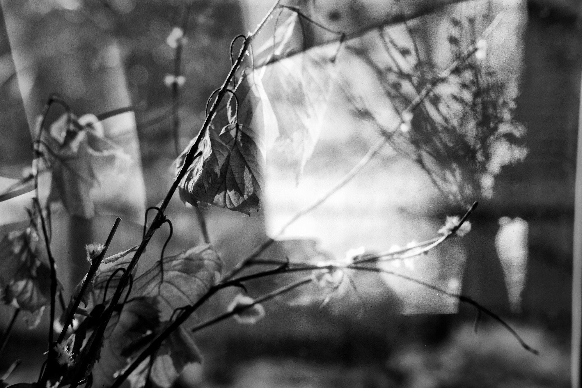 Избранное. Фотограф в Москве, в Самаре Инна Мамонова