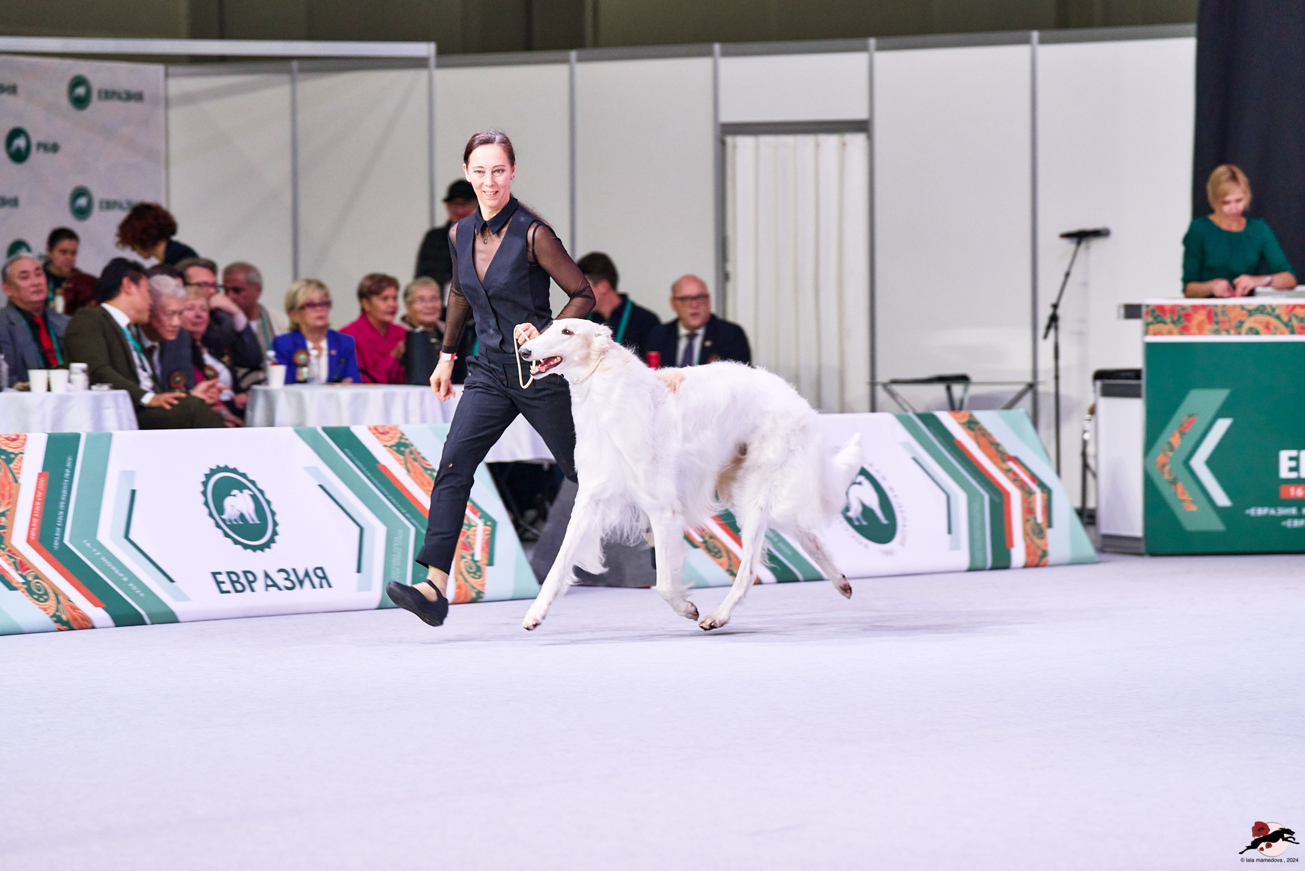 16.11.2024 «ЕВРАЗИЯ. КУБОК ПРЕЗИДЕНТА РКФ 2024»