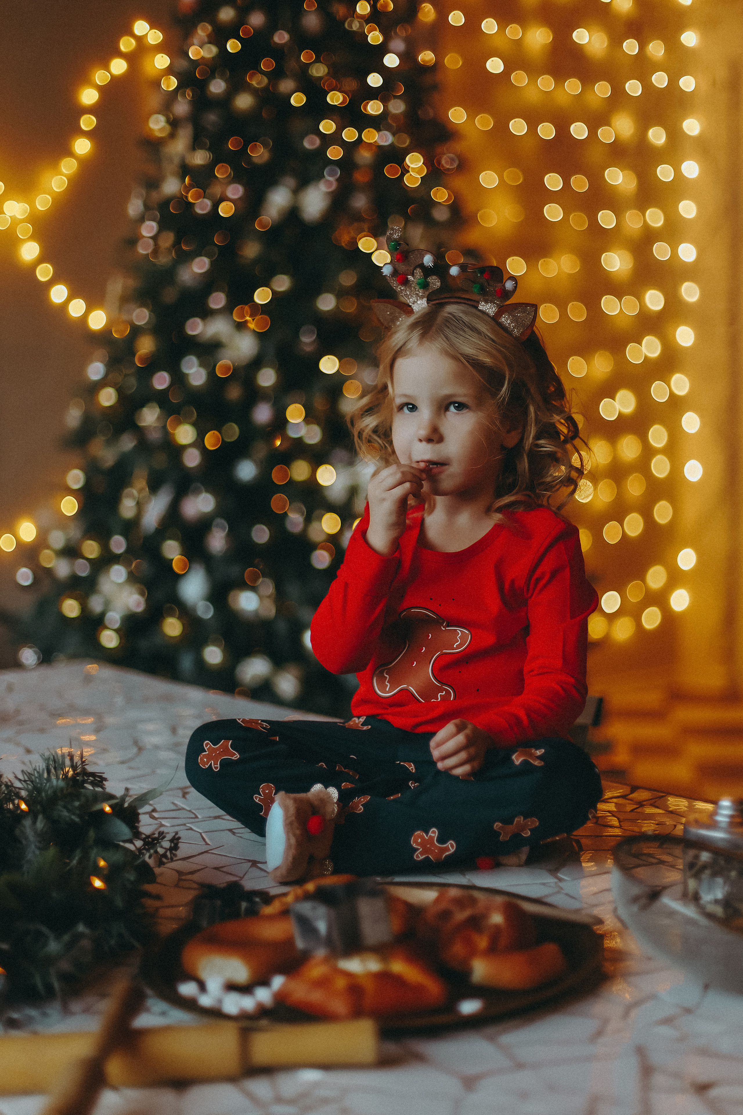 Наш Прянечный Новый год. Твой фотограф Леся Астанина