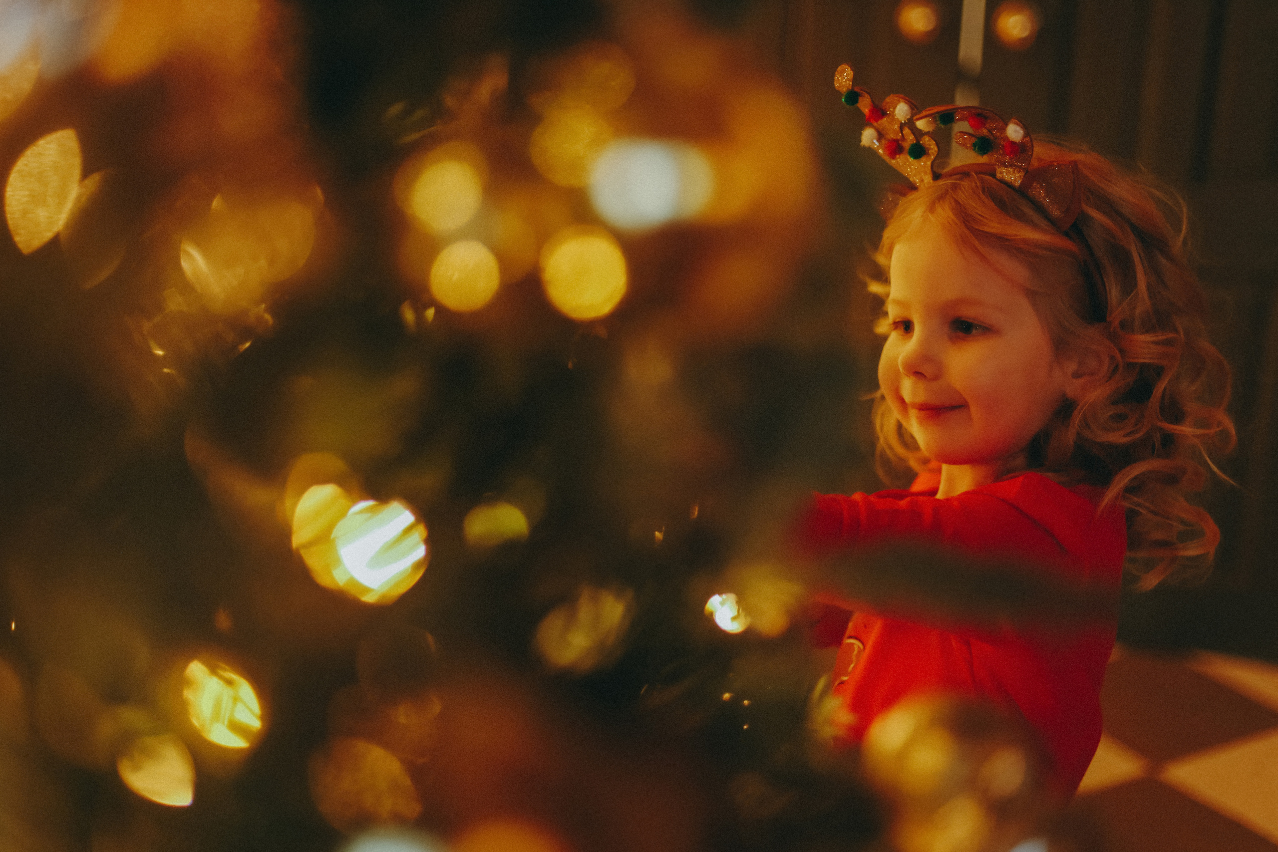 Наш Прянечный Новый год. Твой фотограф Леся Астанина