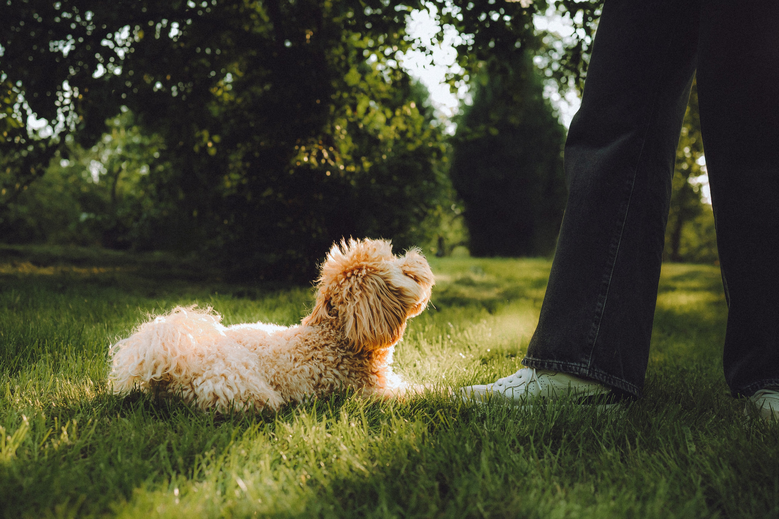 Фред и его семья