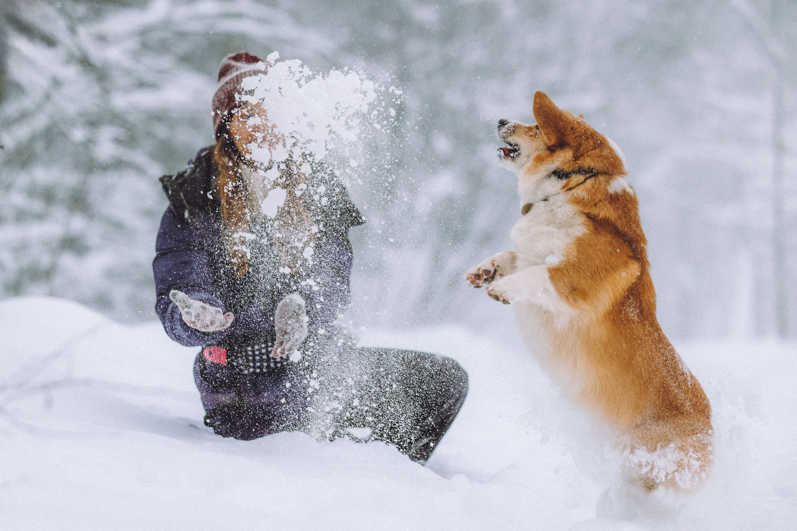 Юля и Юпитер