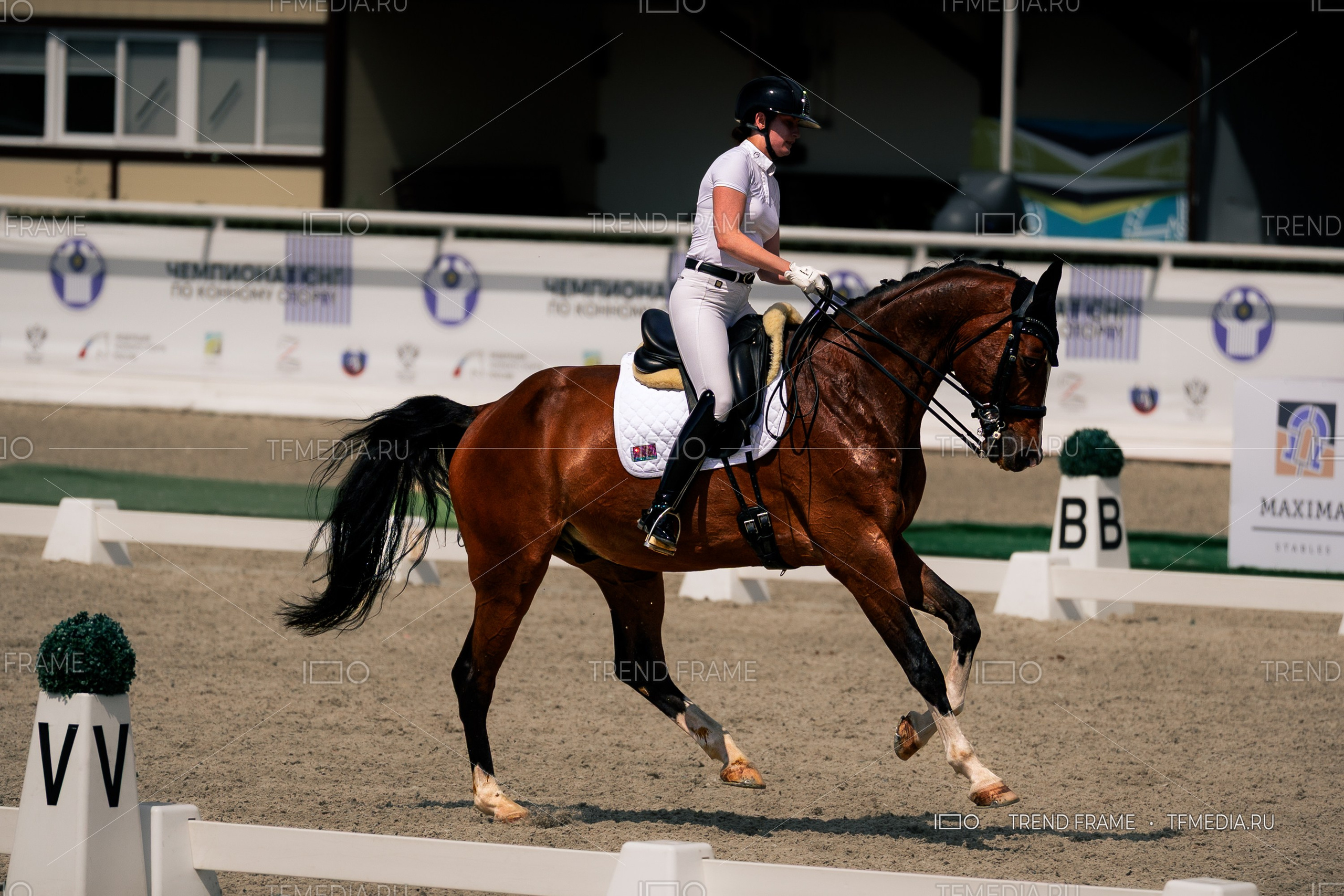 Евразийские Игры 2025, Maxima Park — выездка и конкур, профессиональная фотосъёмка TrendFrame