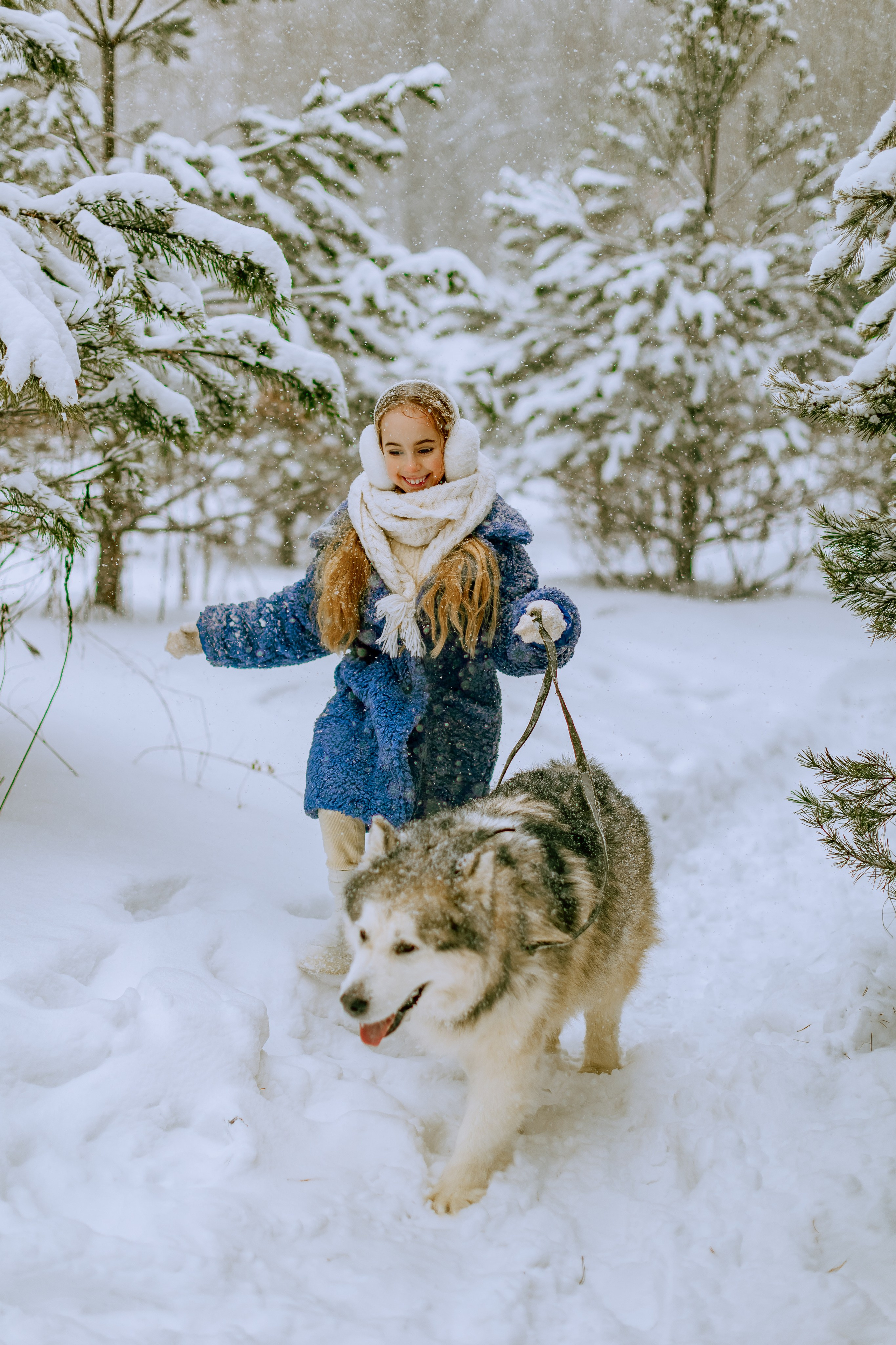 София и аляскинский маламут. Фото и видео Москва, Московский. Свадебный фотограф, видеограф, фотосессии, видеосъемка