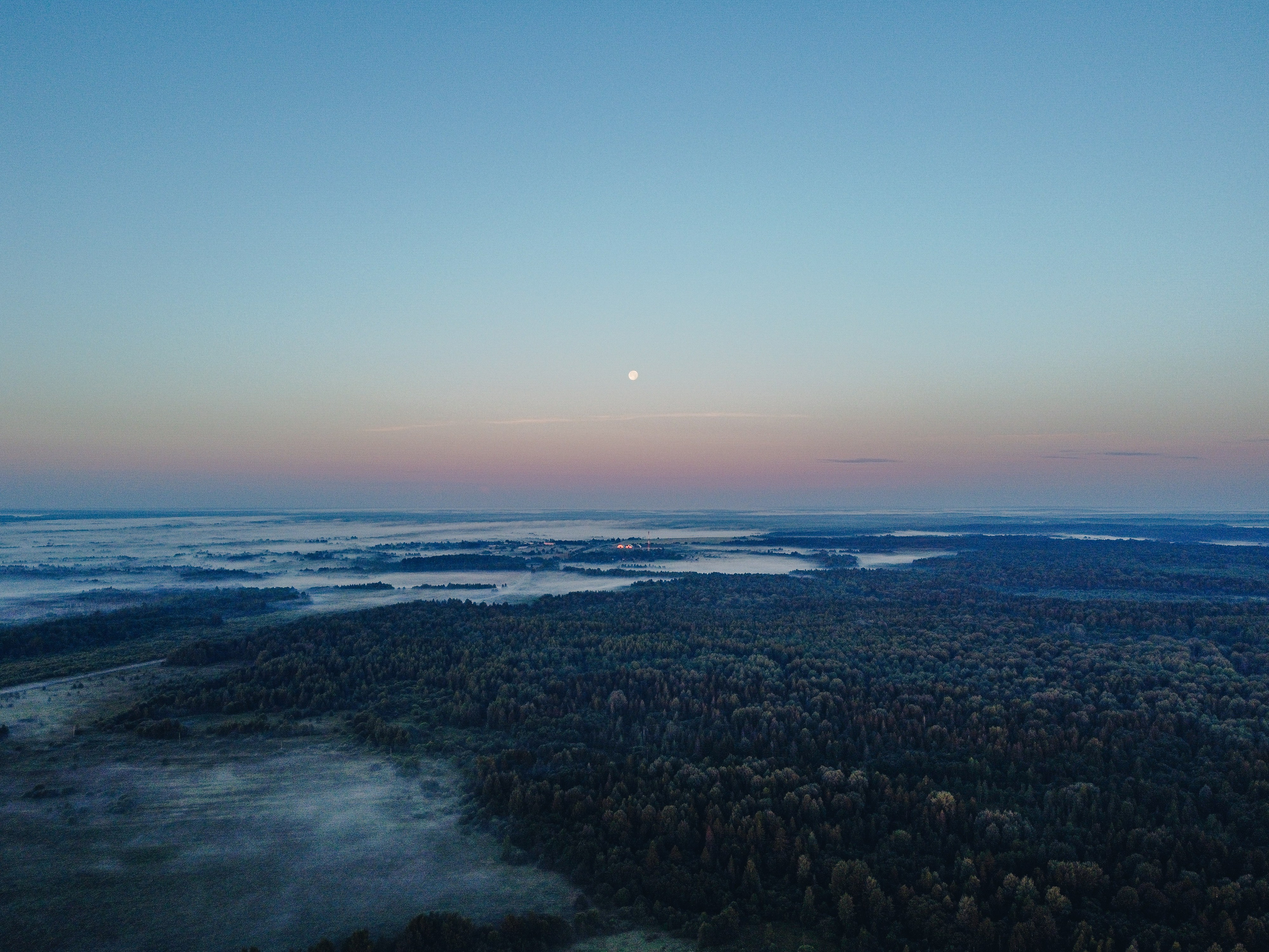 Поле, ранее утро, рассвет, туман
