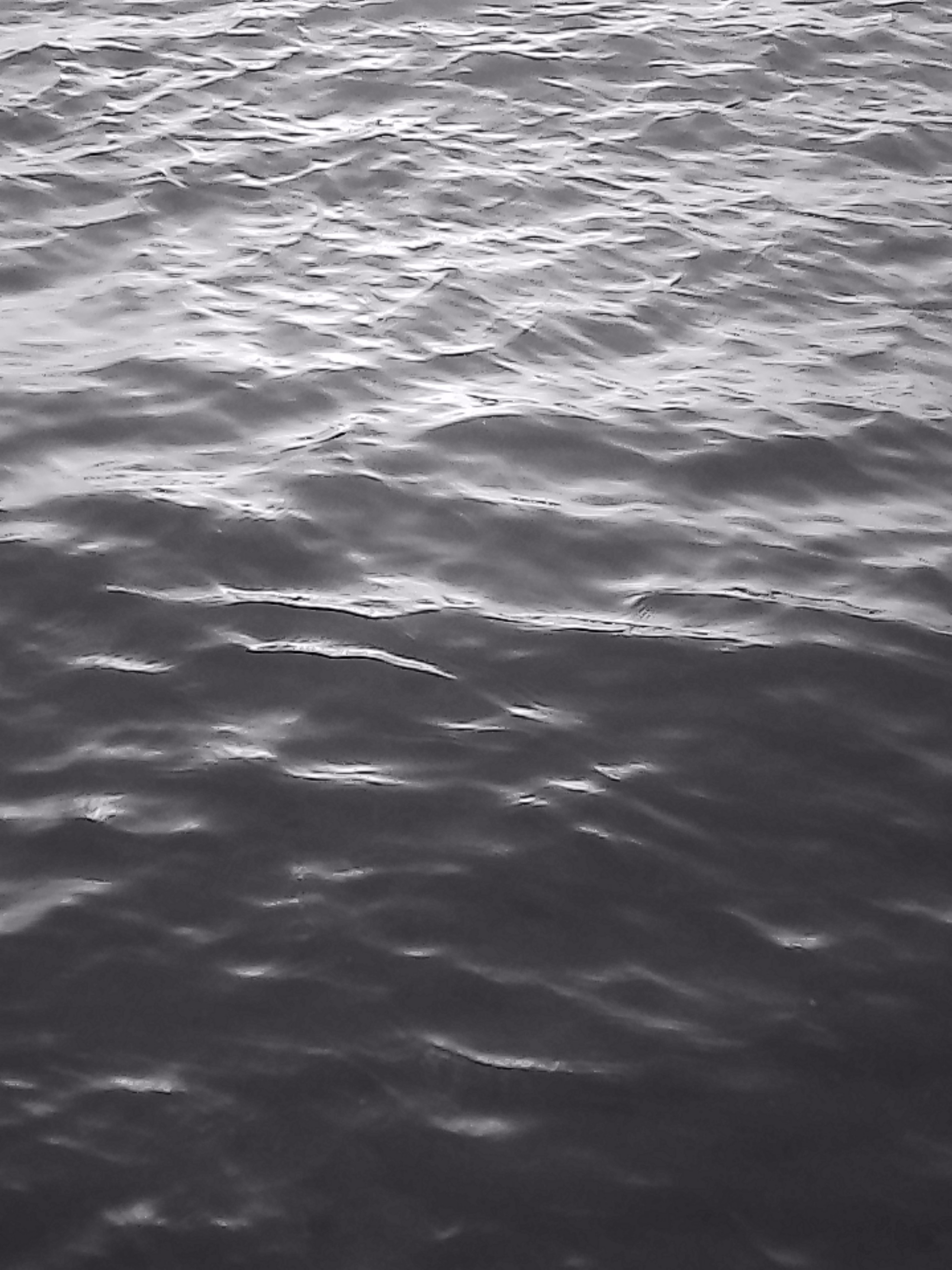 «Крошка 🐣». Anita_photo