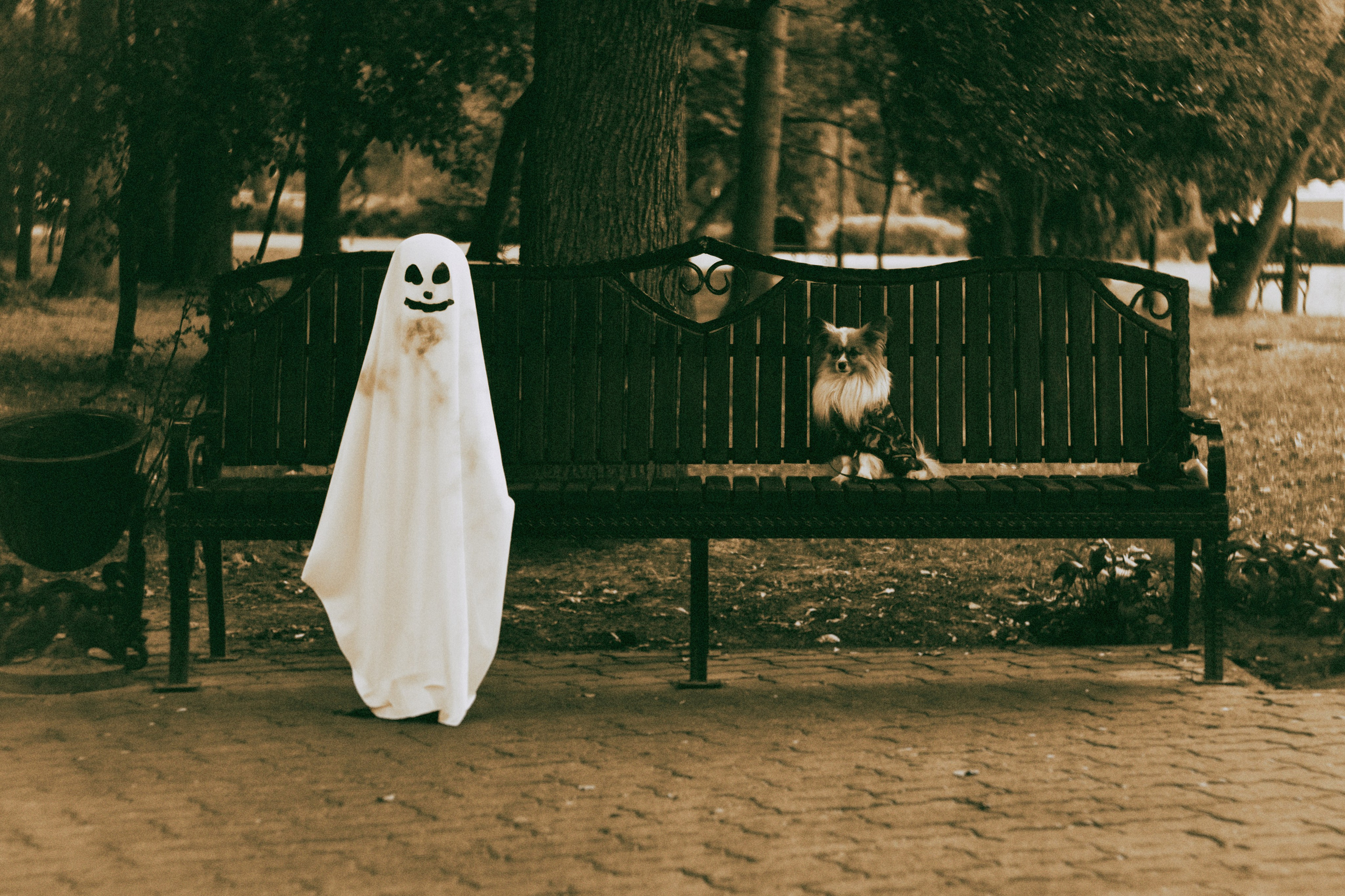 Фотограф (photographer) Lischinski Vitaliy