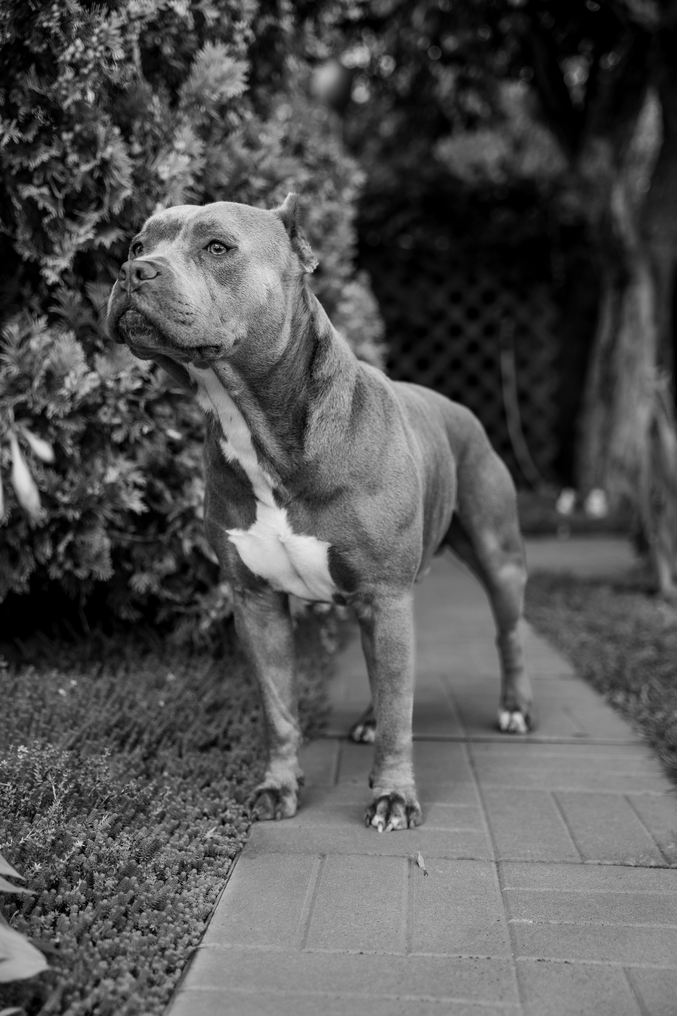 Ева 1 год. Станислав Тюрин Фотограф Москва. Индивидуальные и семейные фотосессии;