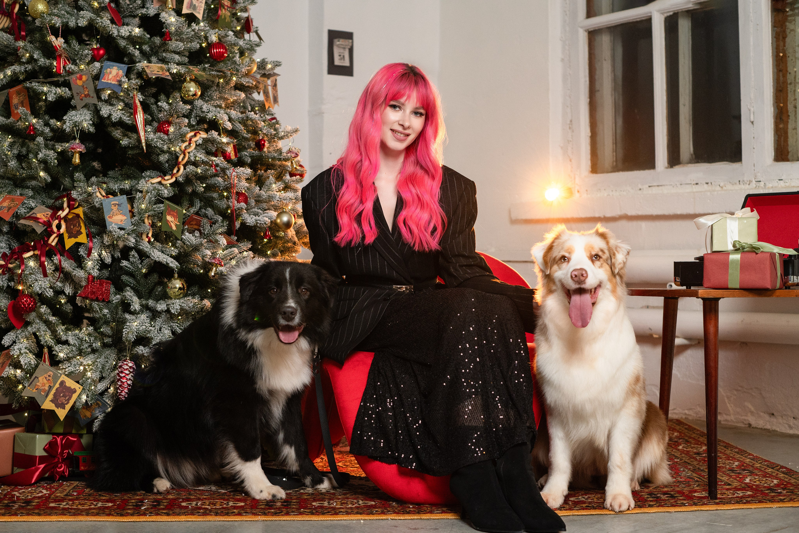 Фотодень с Австралийской овчаркой. Творческий фотограф Вологда