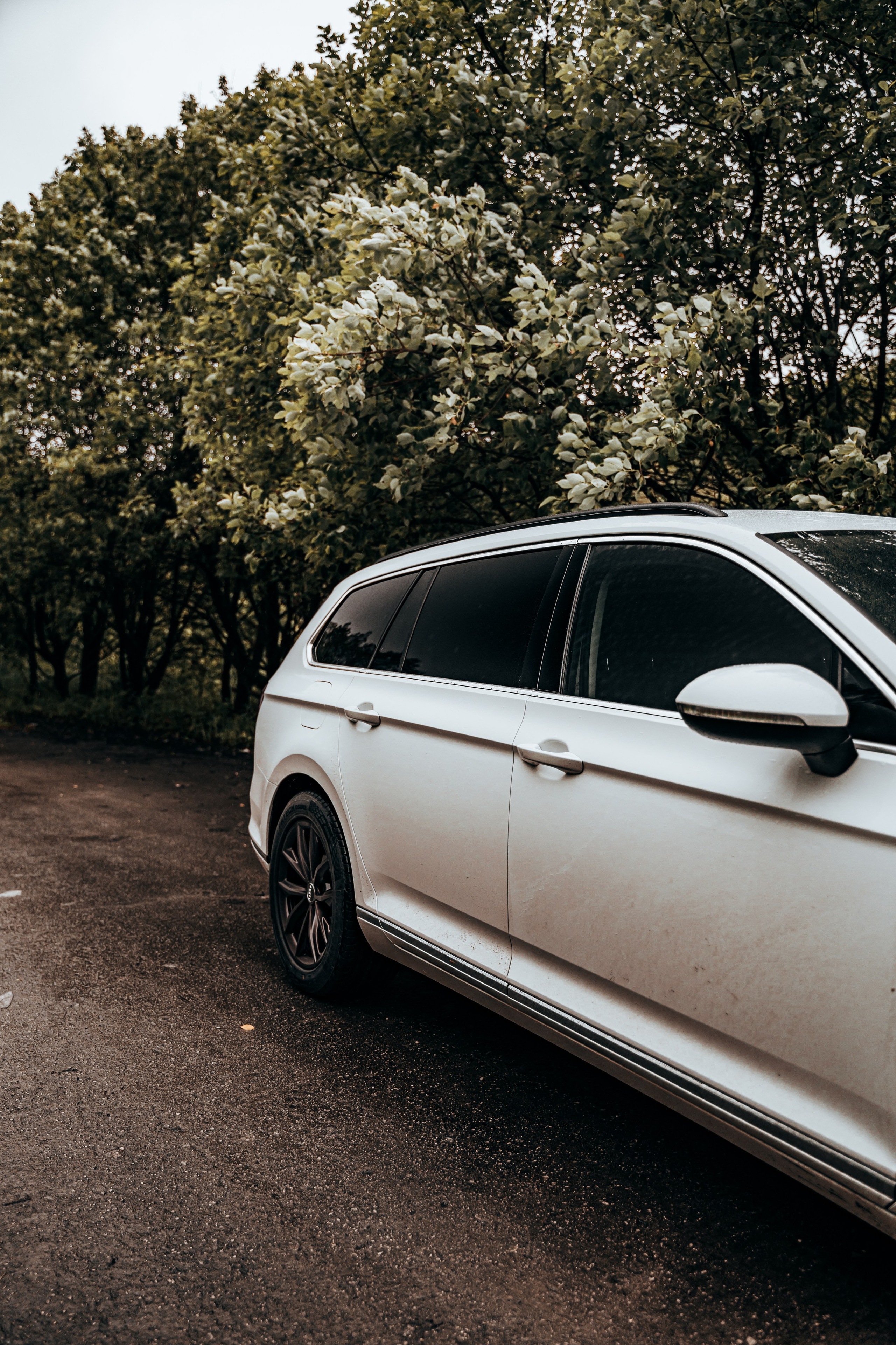 VW Passat B8 Project. Vlad Trykov