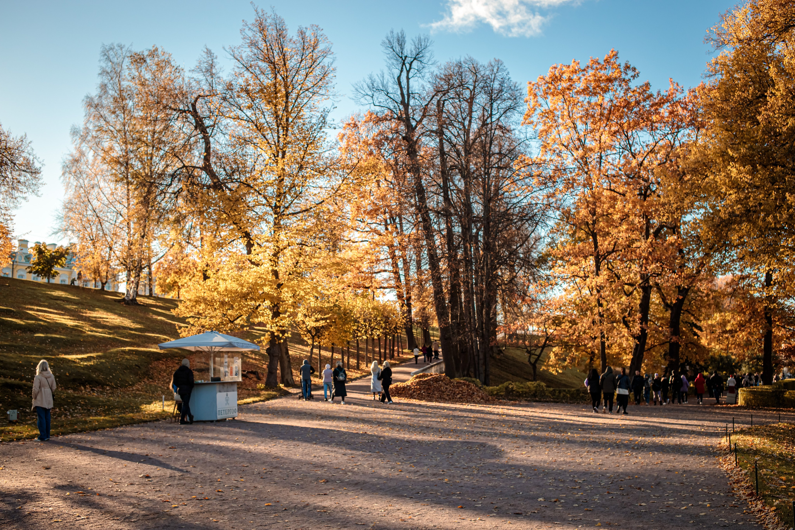 Петергоф нижний парк фото