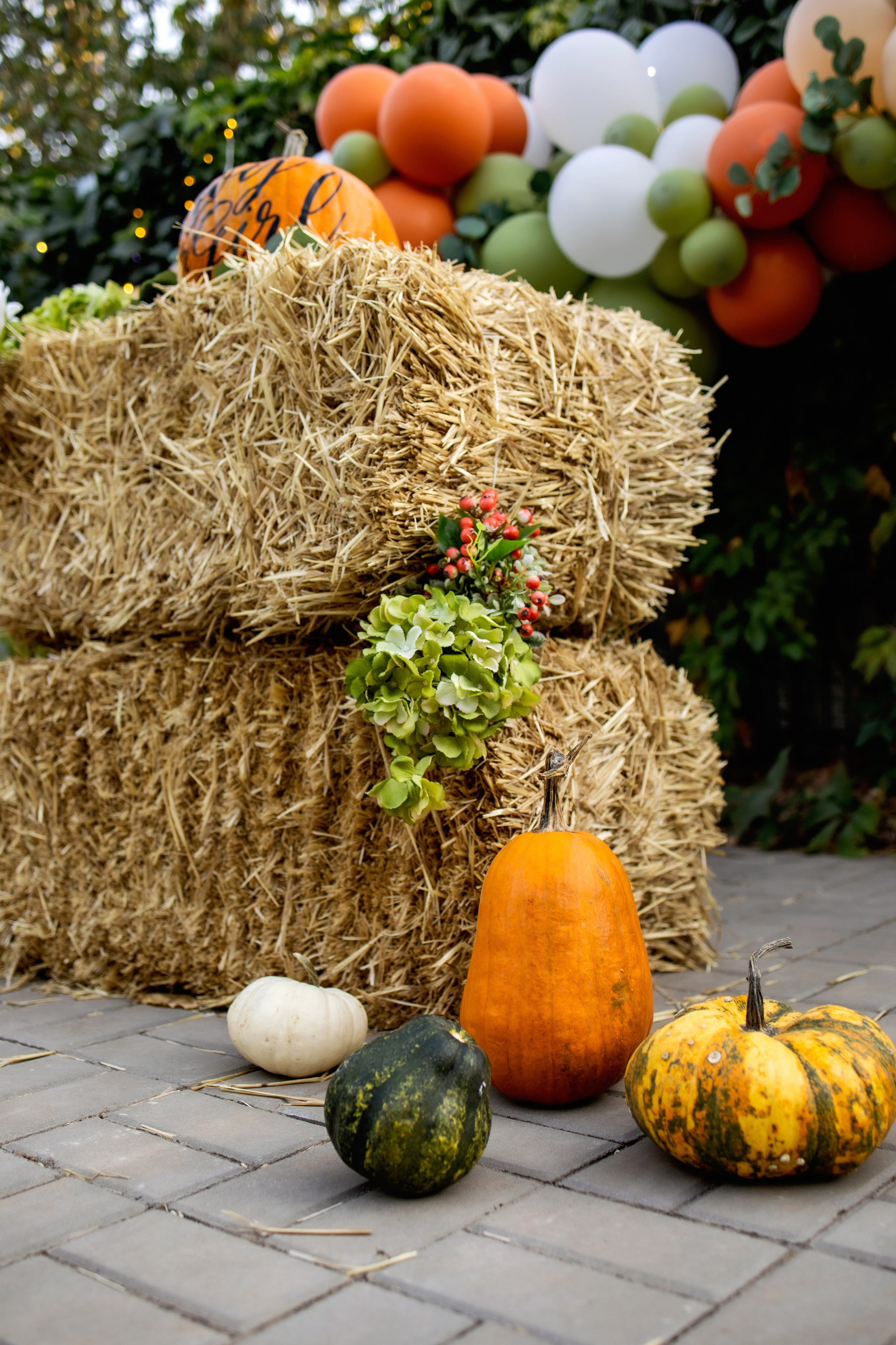 Гендер-Пати. Фотограф Надежда Лукьянова