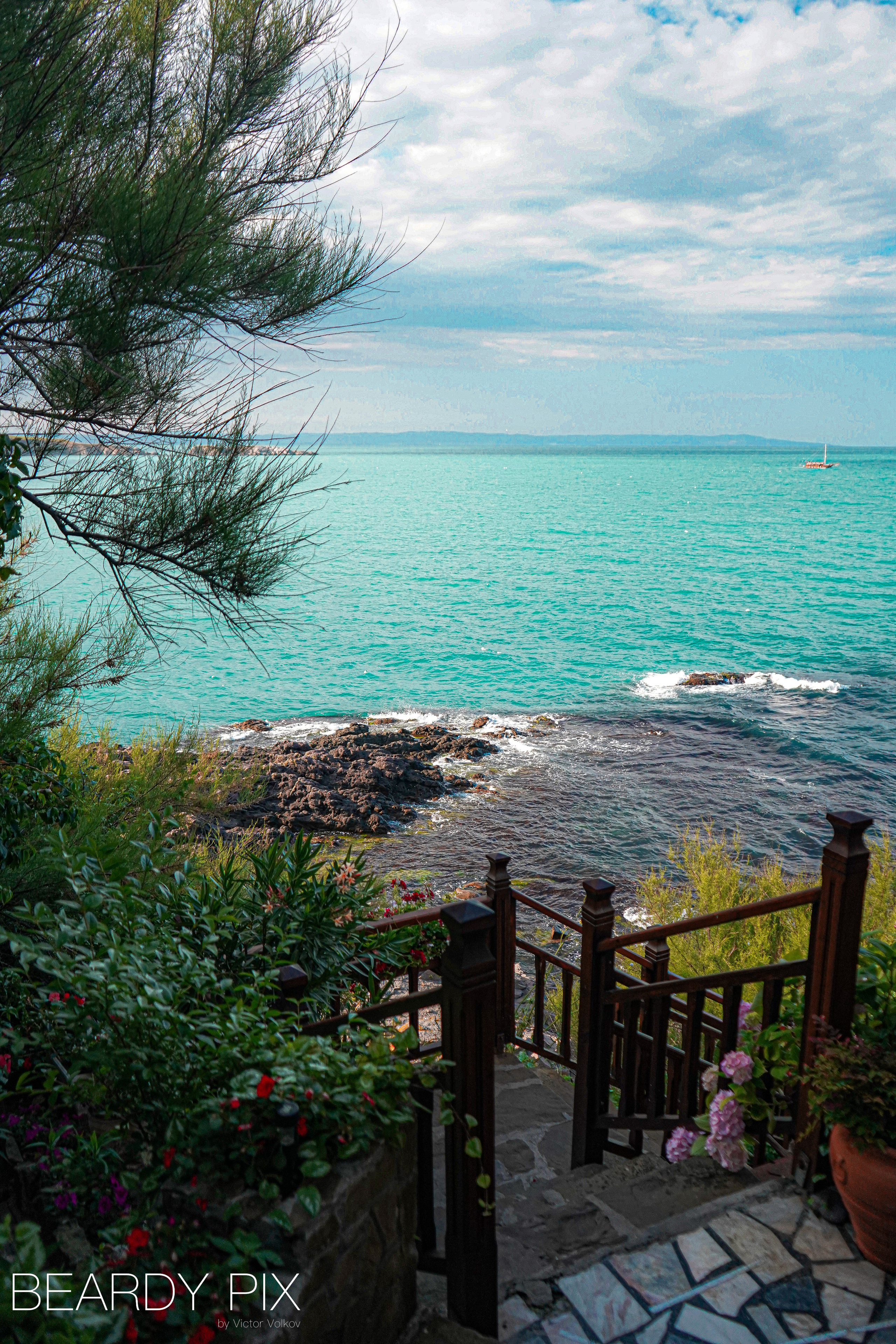 Стрит Фотографи. Beardy Pix
