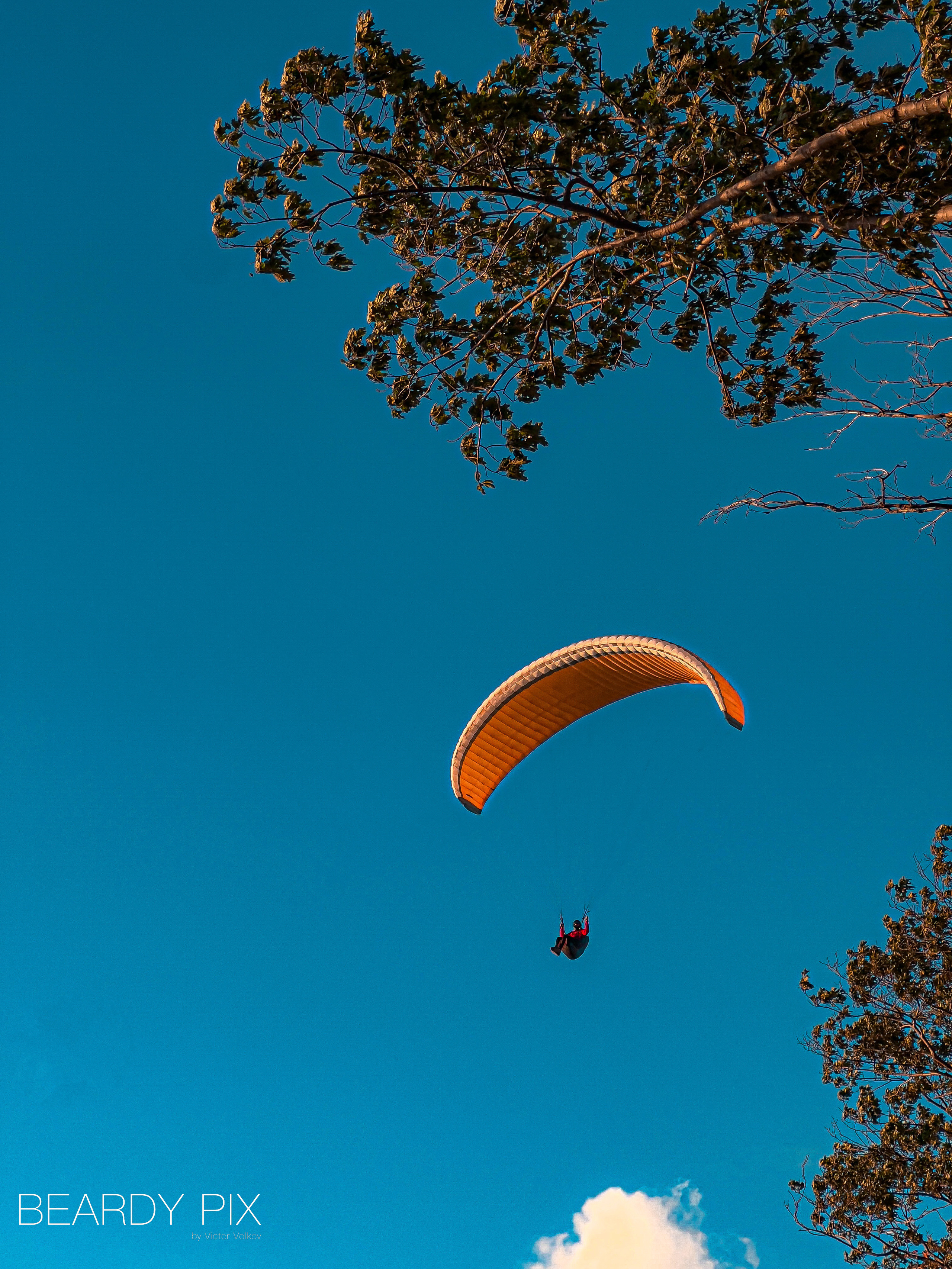 Стрит Фотографи. Beardy Pix