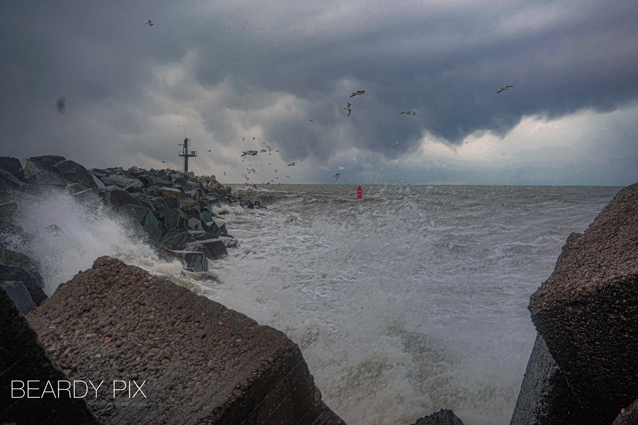 Стрит Фотографи. Beardy Pix