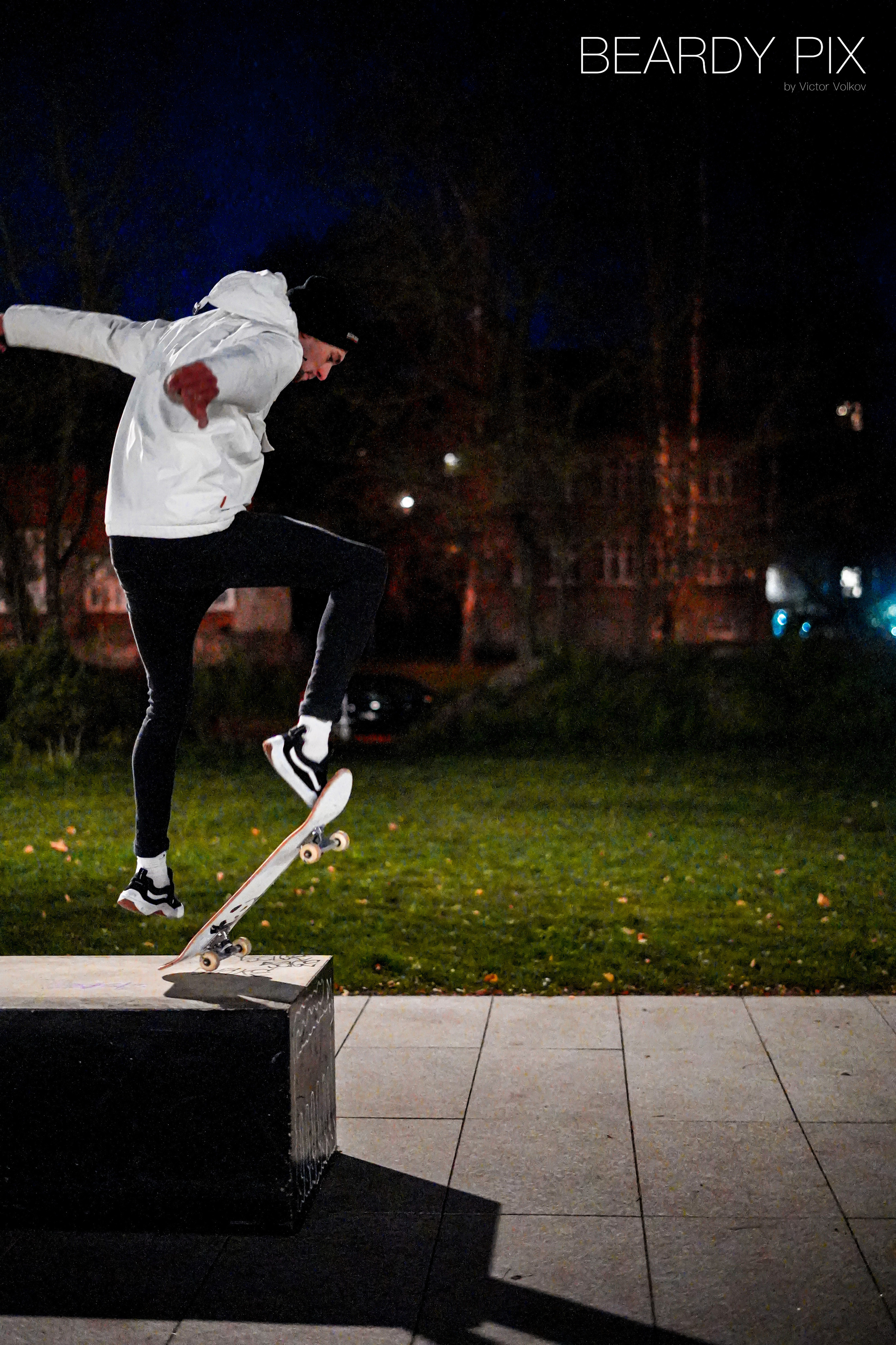 Однажды В Скейт Парке. Beardy Pix