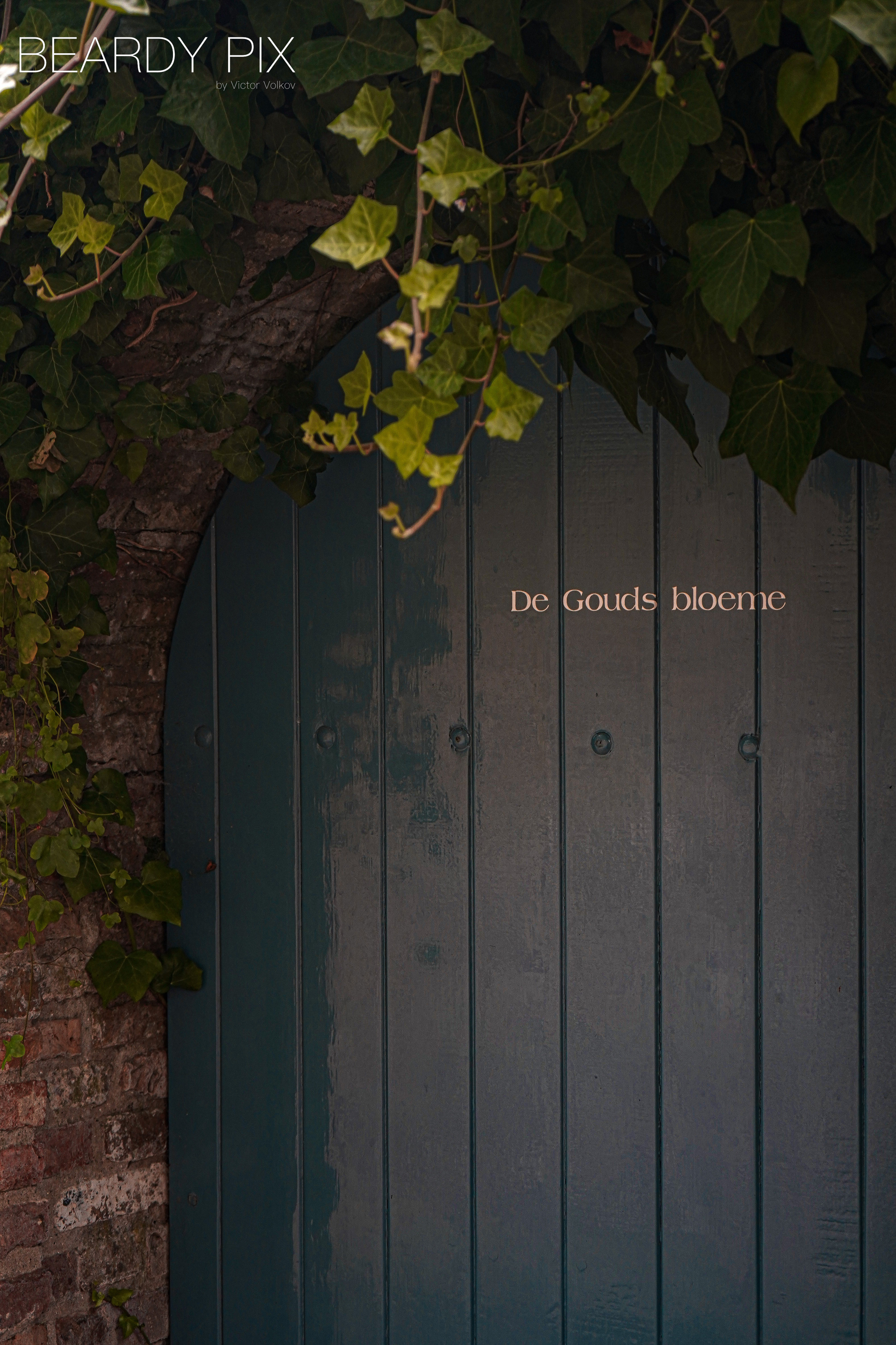 Стрит Фотографи. Beardy Pix