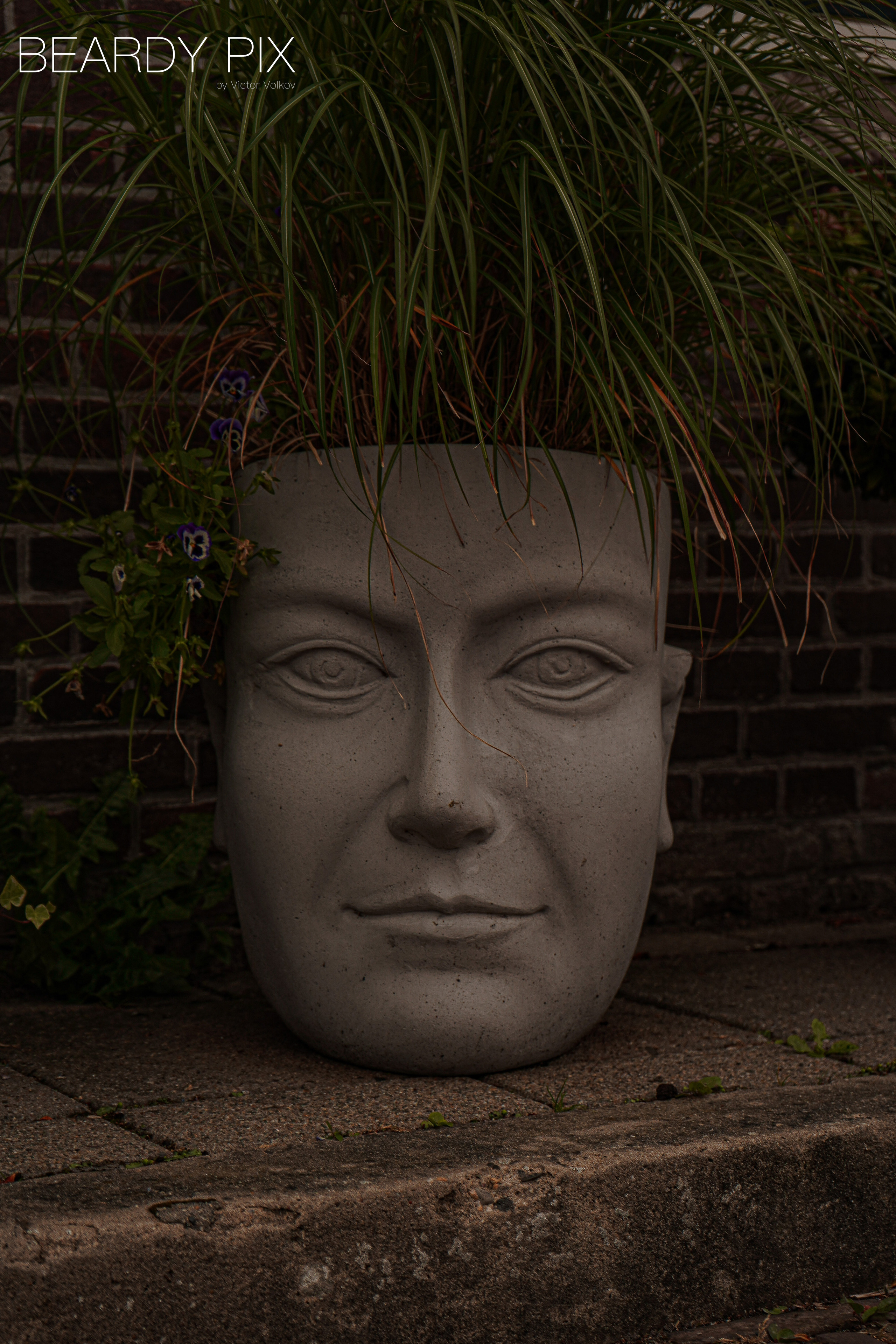 Стрит Фотографи. Beardy Pix