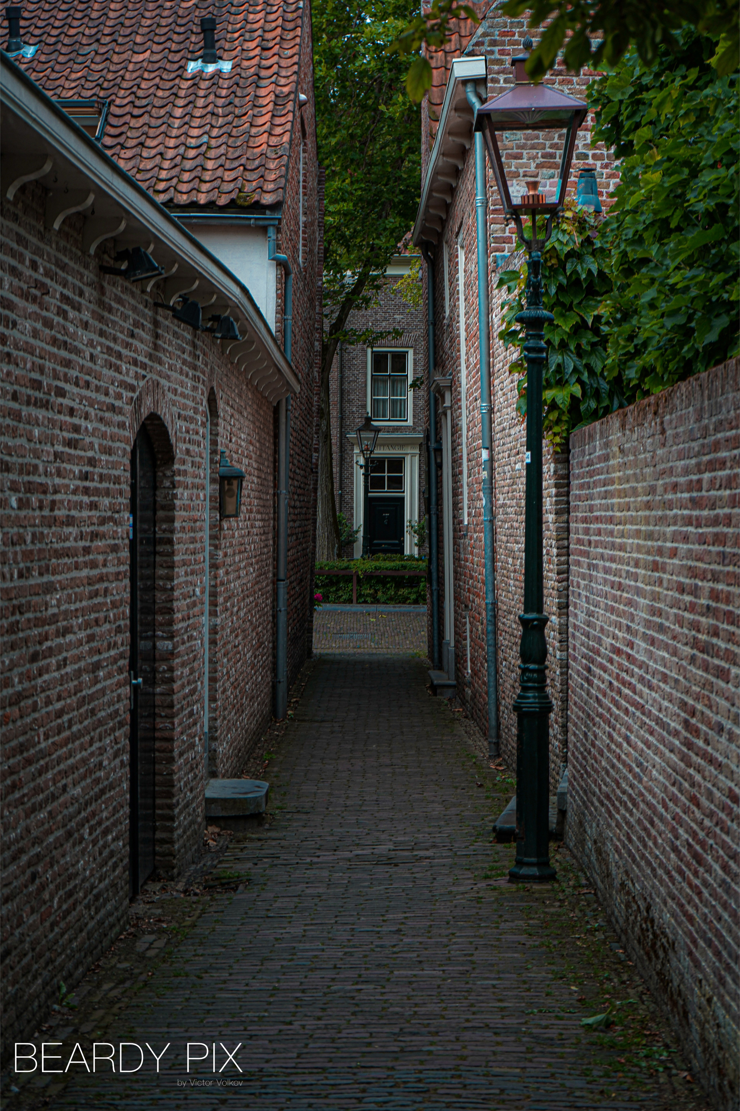 Стрит Фотографи. Beardy Pix