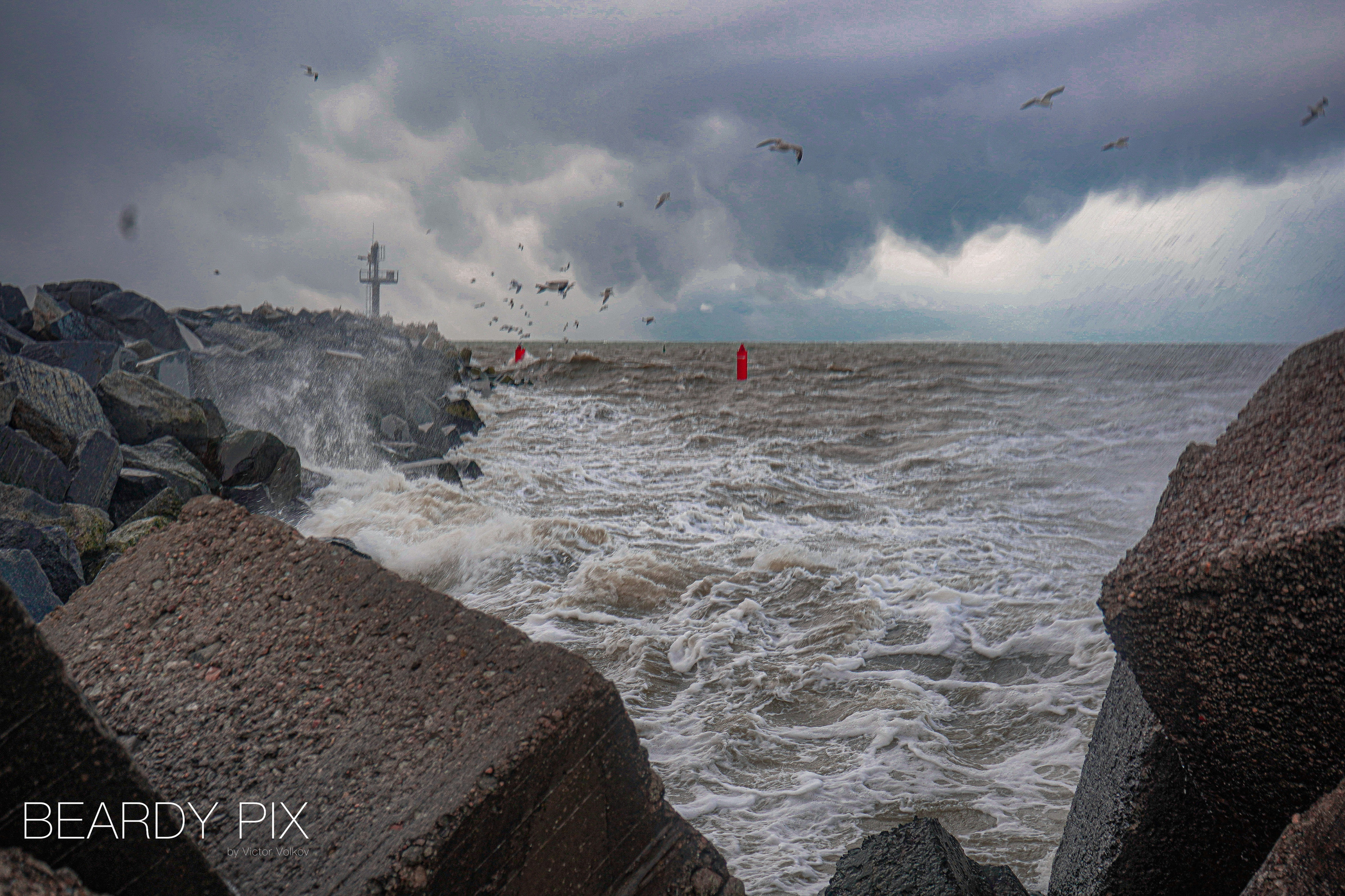 Стрит Фотографи. Beardy Pix