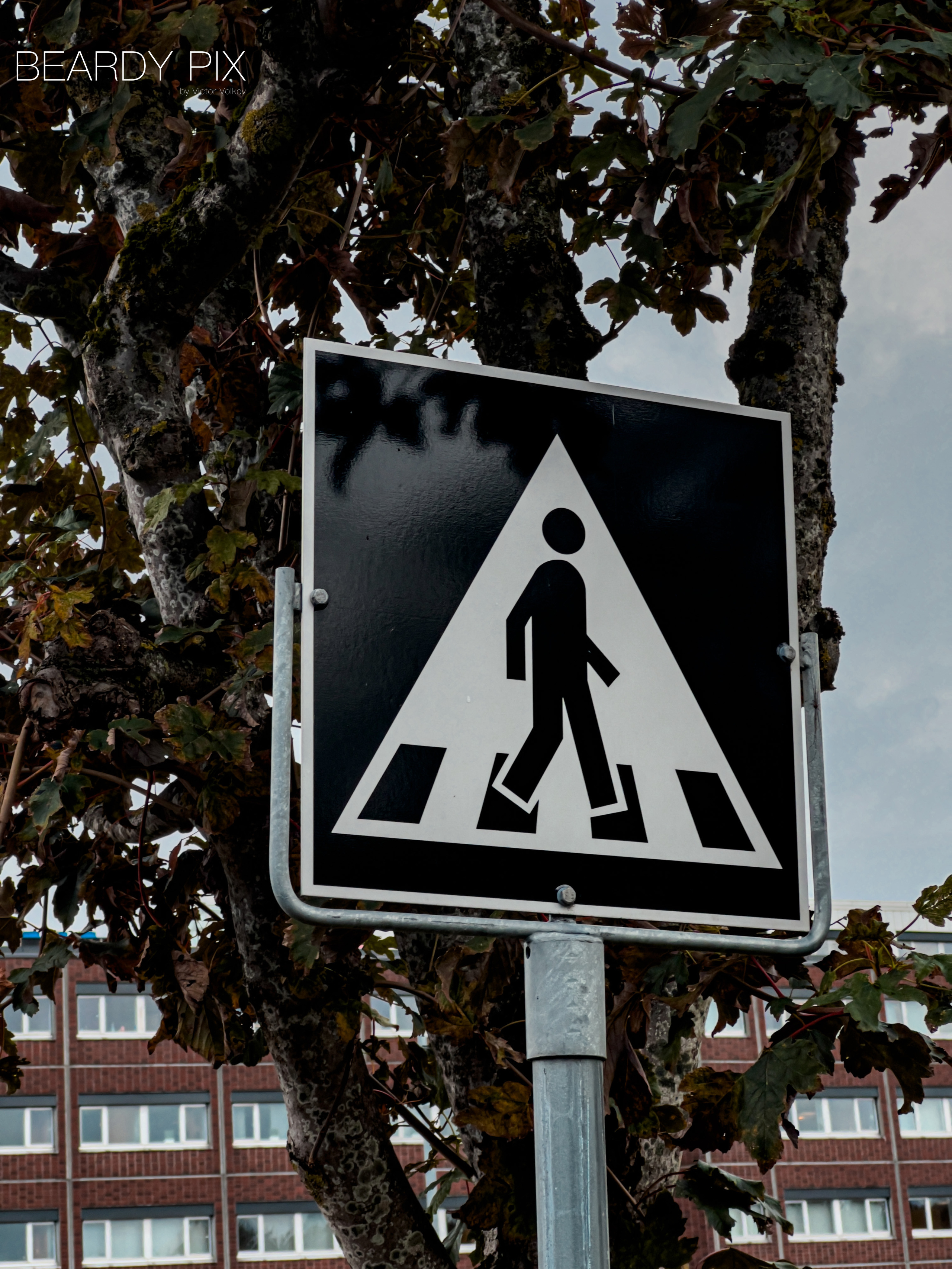 Стрит Фотографи. Beardy Pix