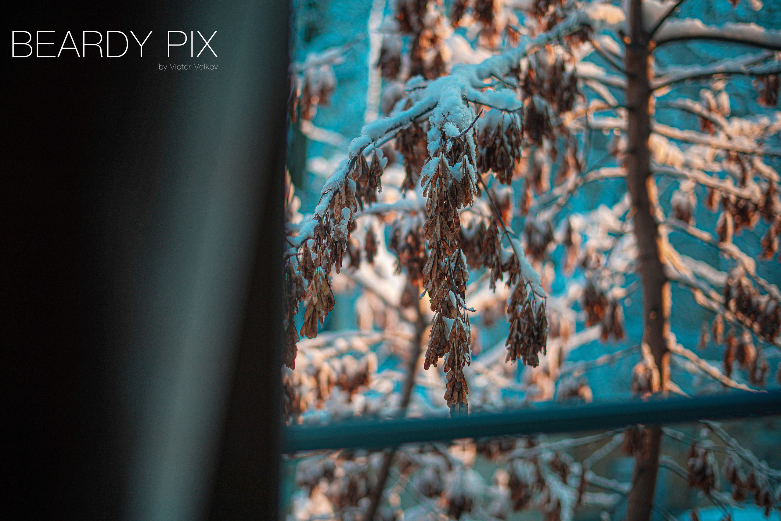 Стрит Фотографи. Beardy Pix