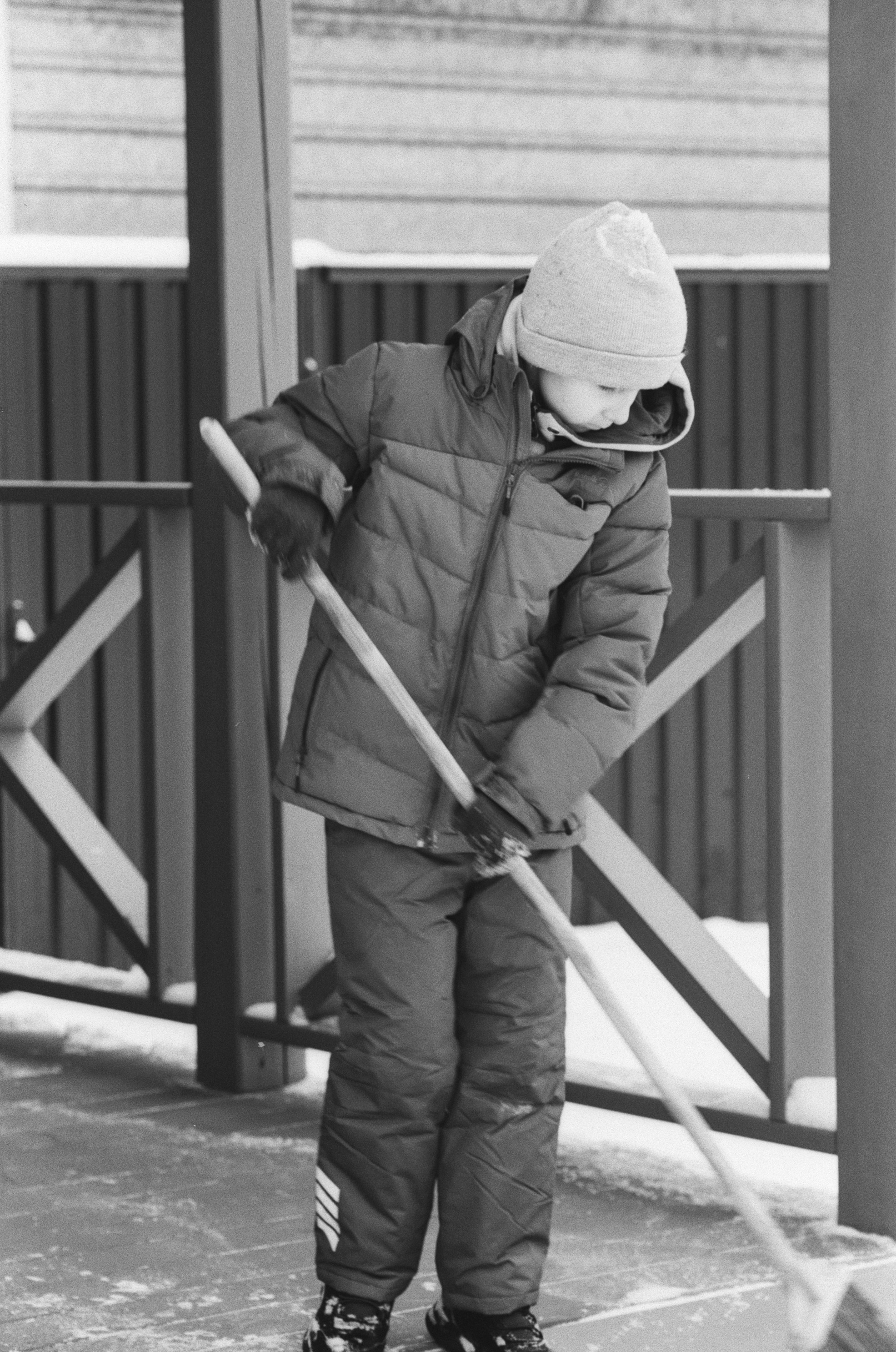 Contax N1 / Carl Zeiss Makro Sonnar 100 mm f/2.8 / Давыдовское