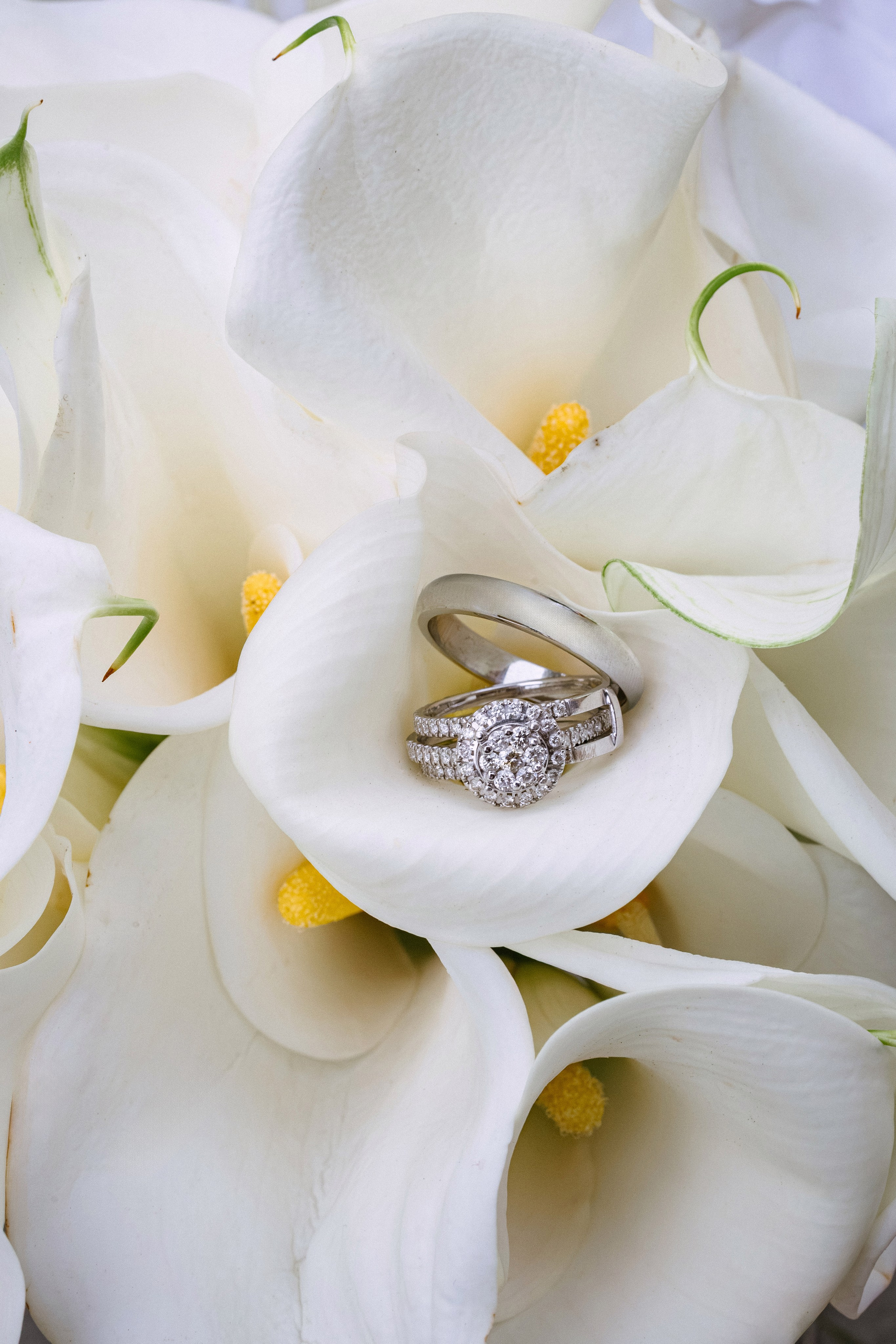 Darina & Anton. Профессиональный фотограф Нурмиева Вероника