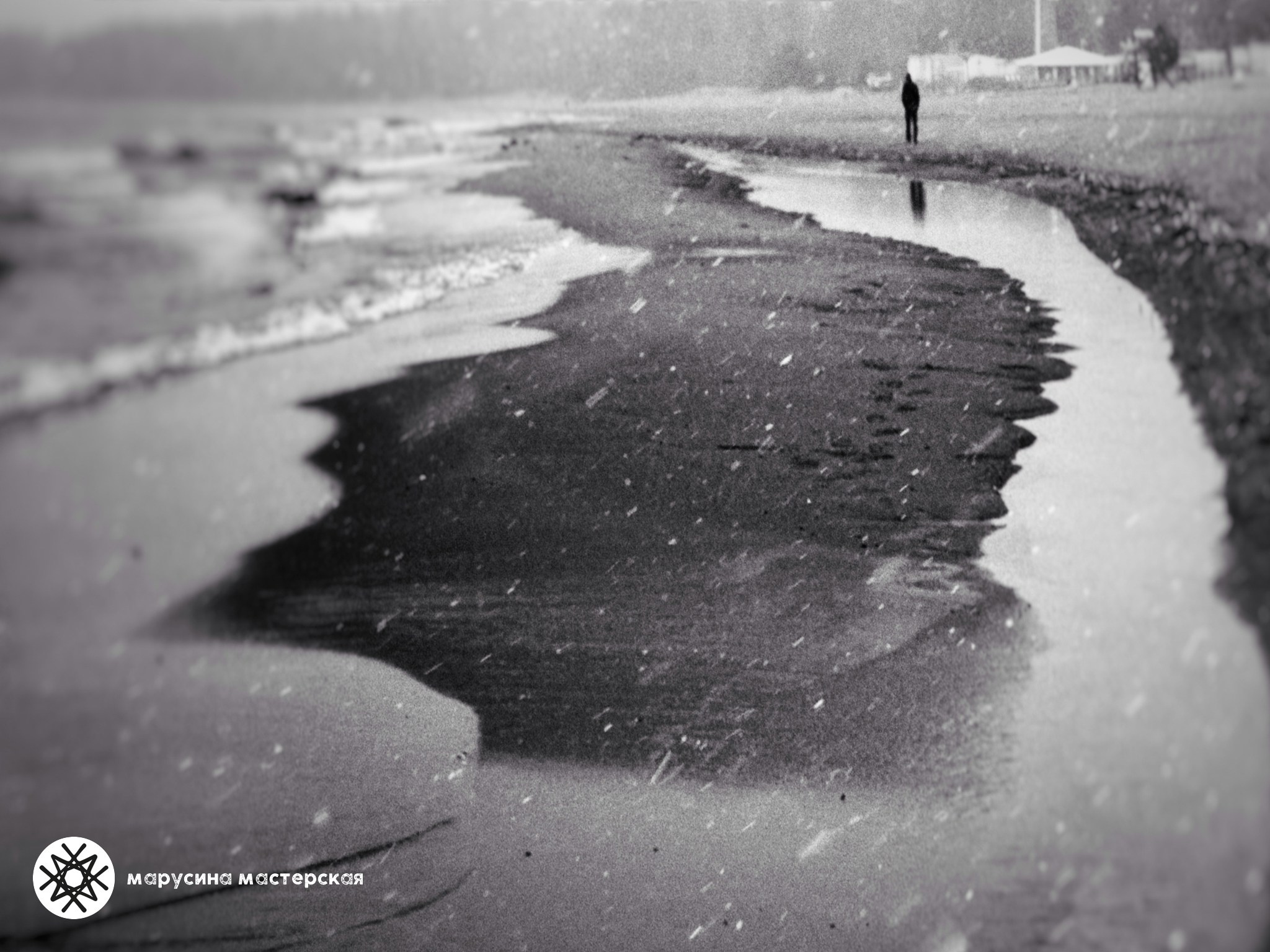 Вероника Новикова