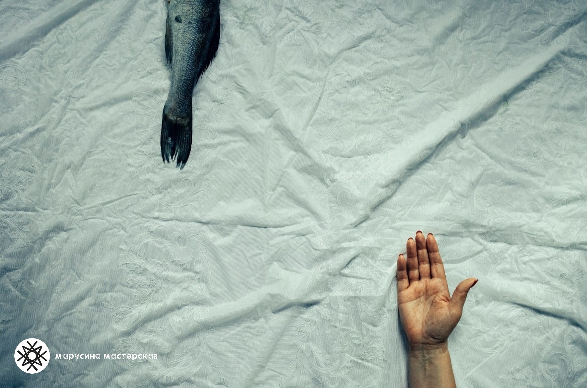 Екатерина Мартыненко