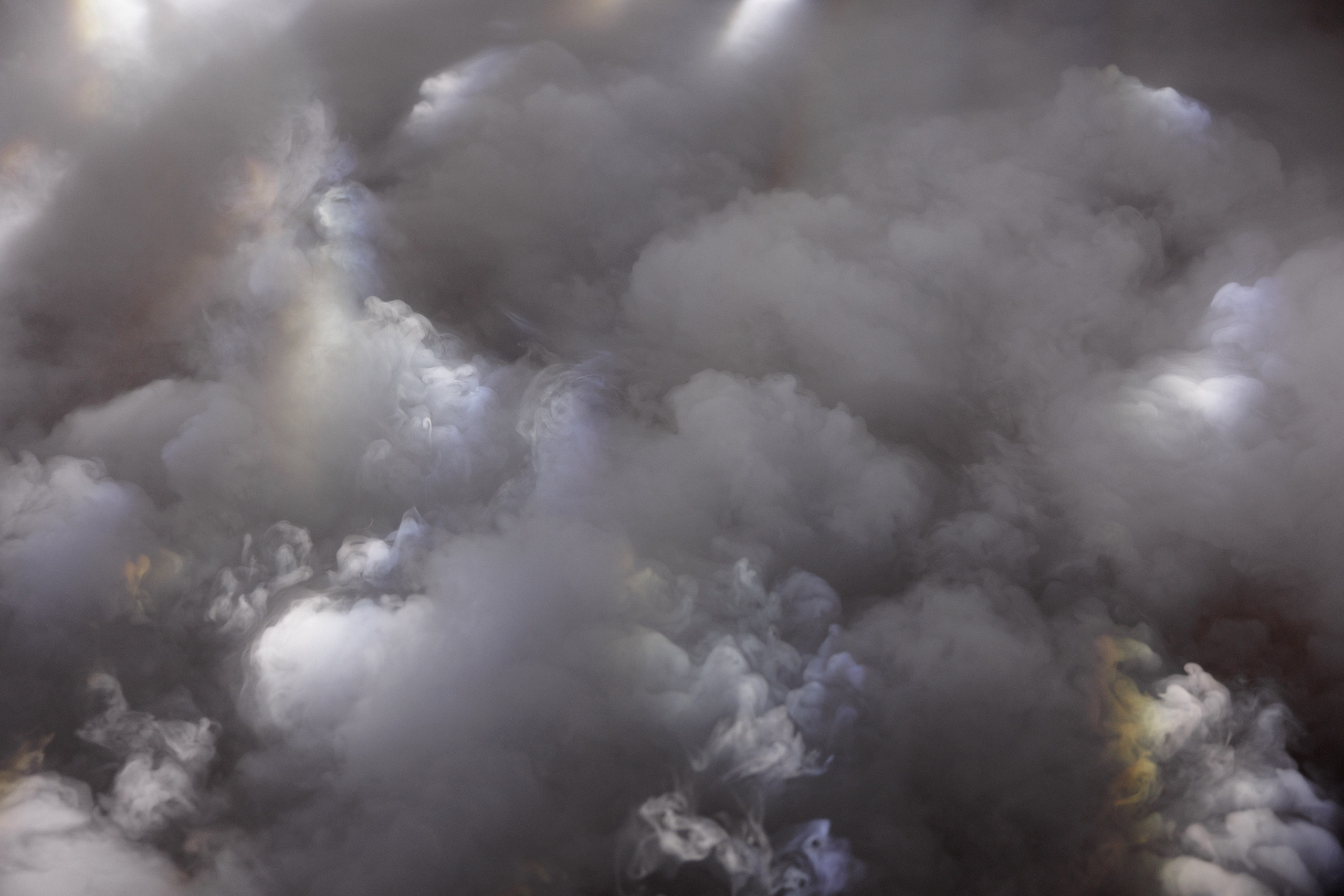 Ромашковые ромашки. Свадебный и семейный фотограф в Твери, Москве, Санкт-Петербурге