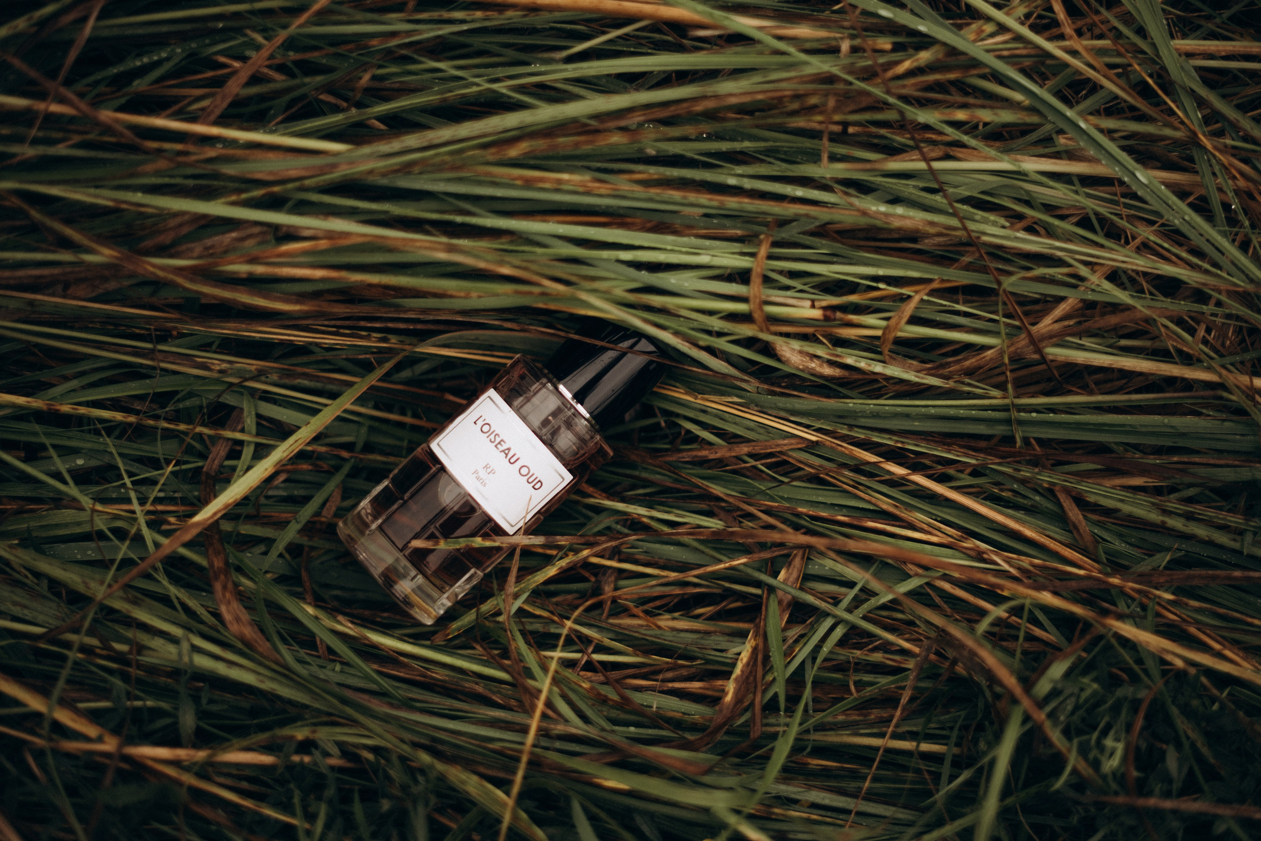 Съемка для брендов. Фотограф в Москве (готова приехать к вам в город)