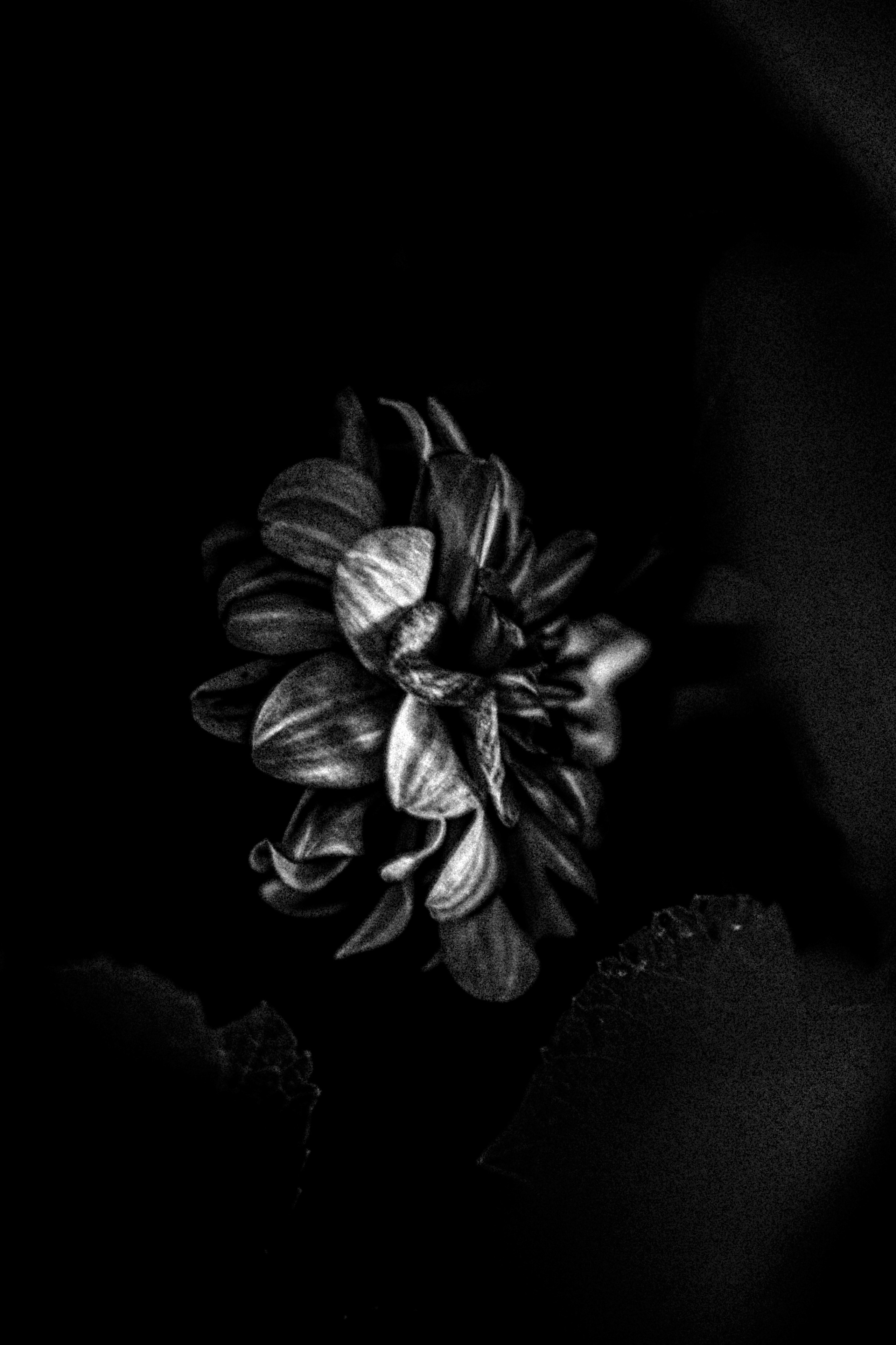 Город Н. Предание о руинах: АРХИВ ПУСТОТЫ