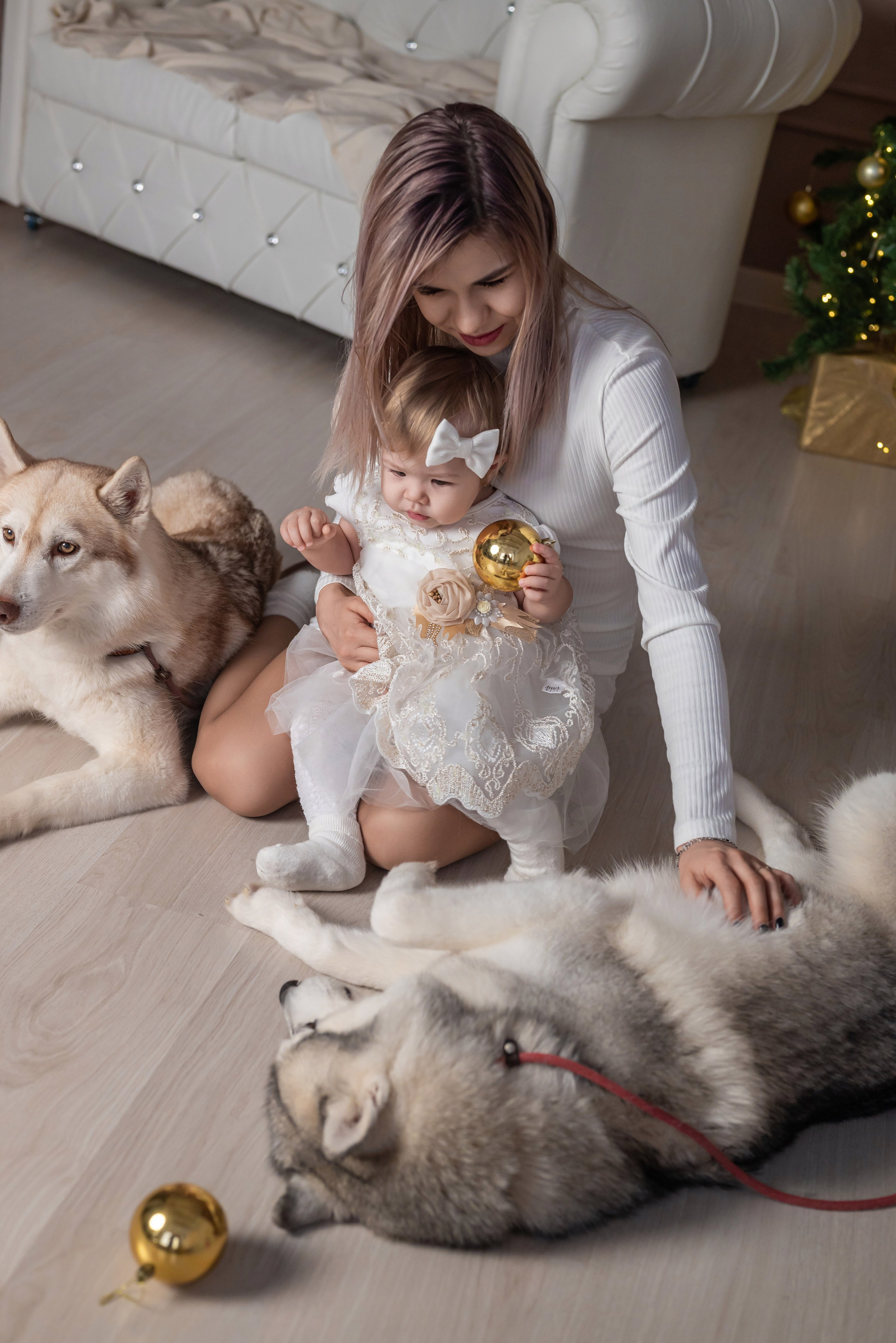 Фотопроект с хаски. Фотограф в городе Салават