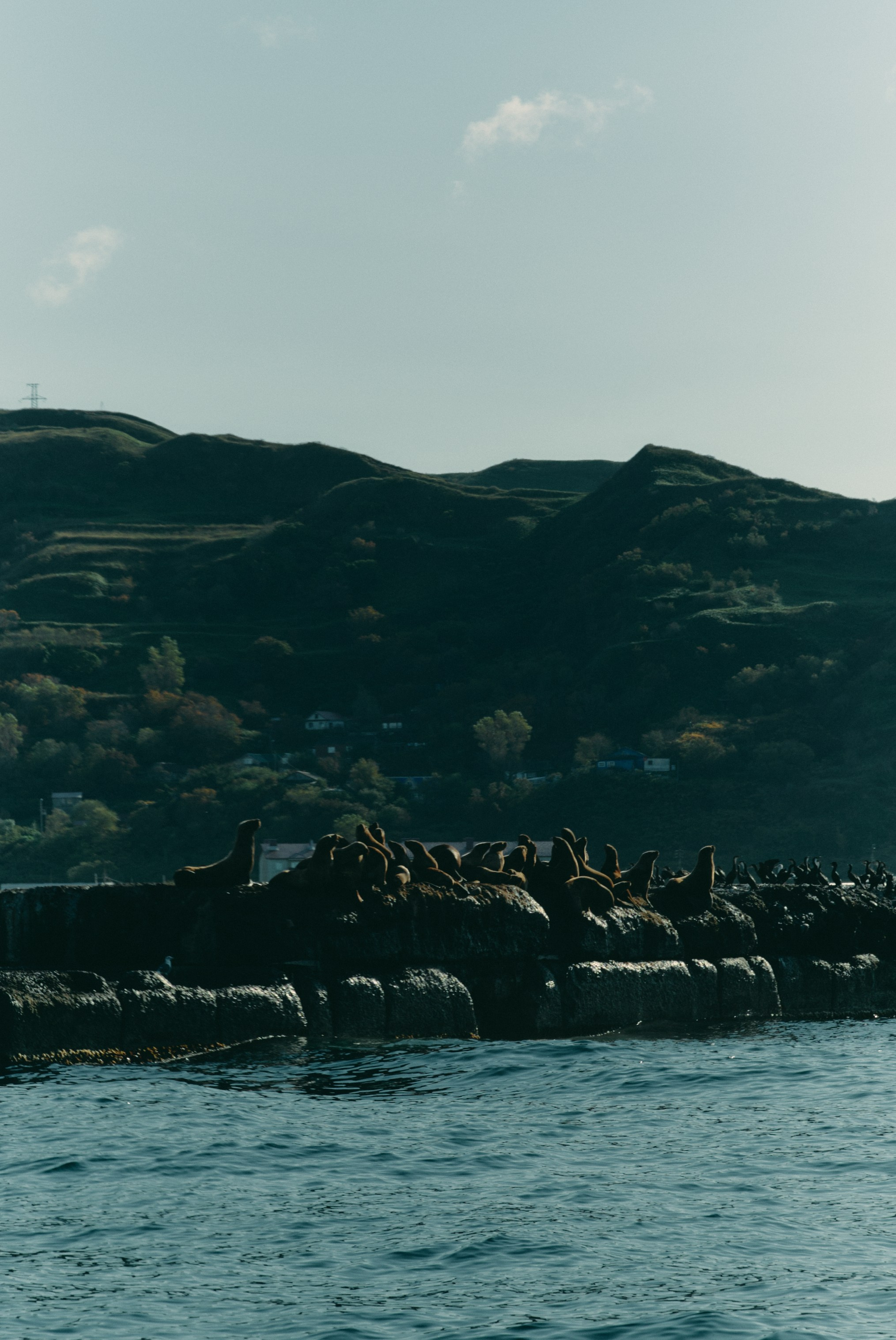 BAON x SAKHALIN. Фотограф Сурков Никита