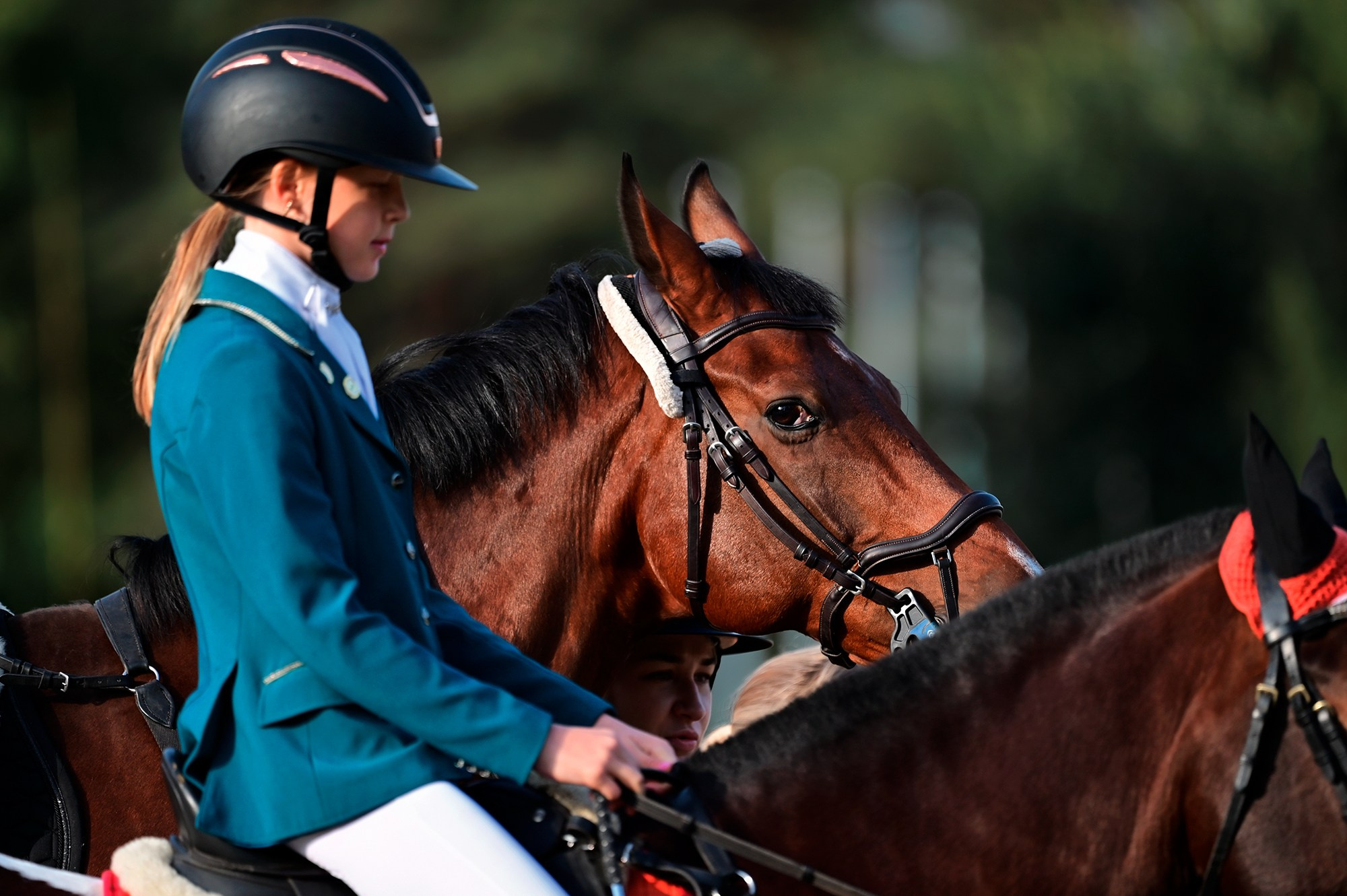 Конкур. Конный фотограф Alesya Safe