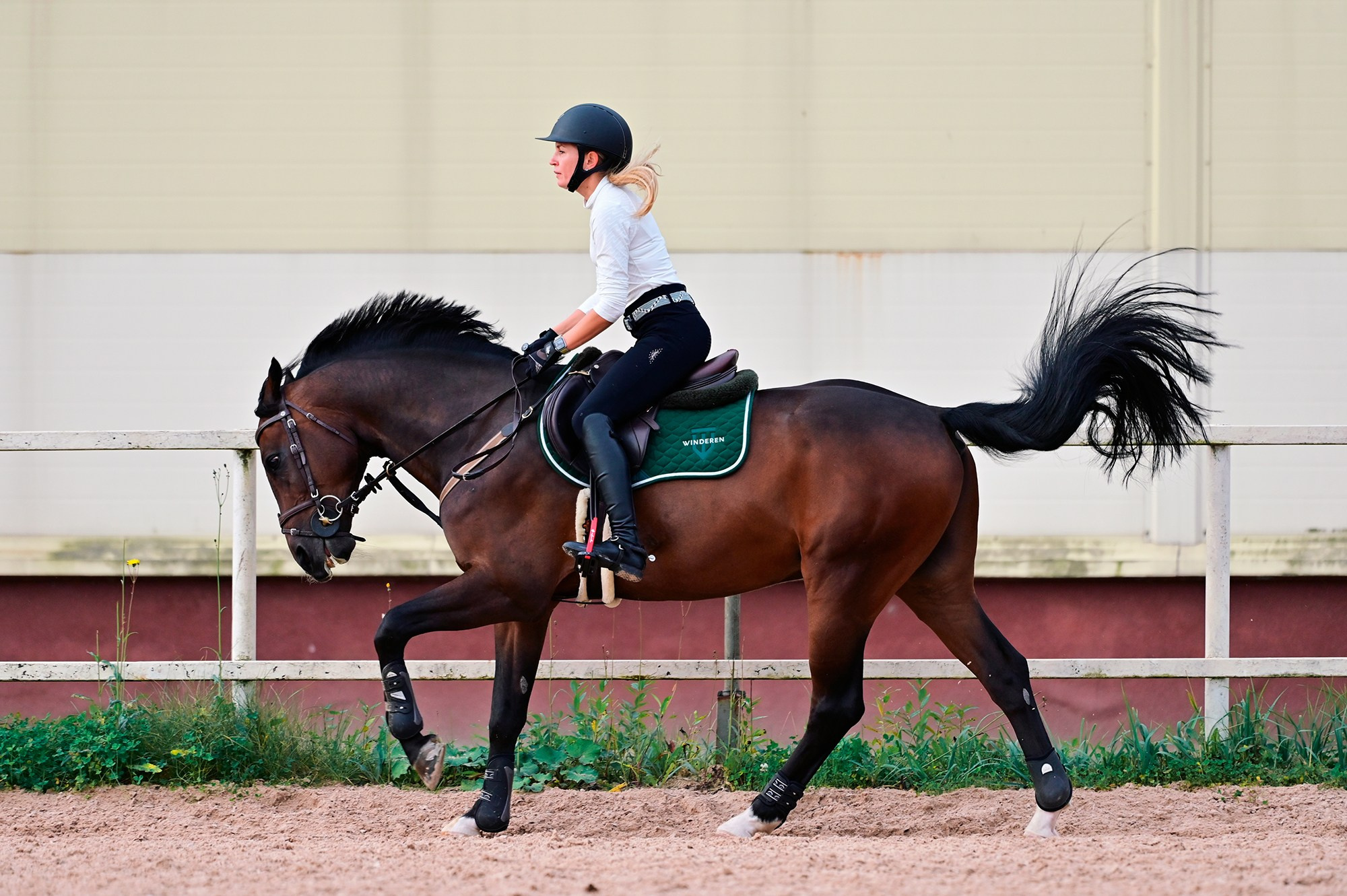 Тренировки. Конный фотограф Alesya Safe