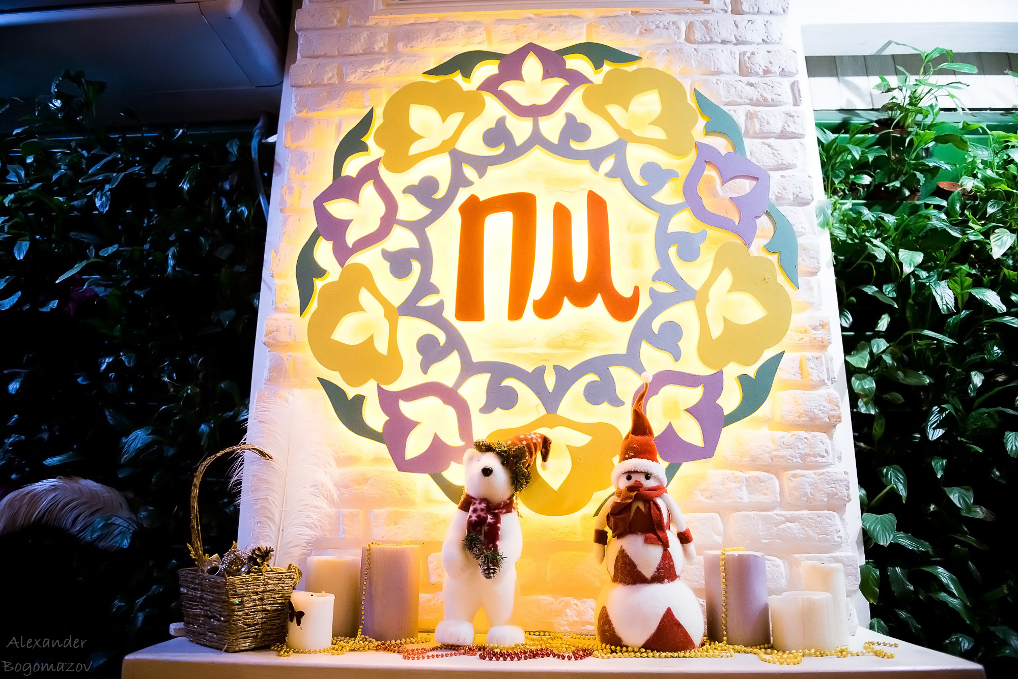 Новый год 2018/2019. Свадебный фотограф в Крыму Александр Богомазов